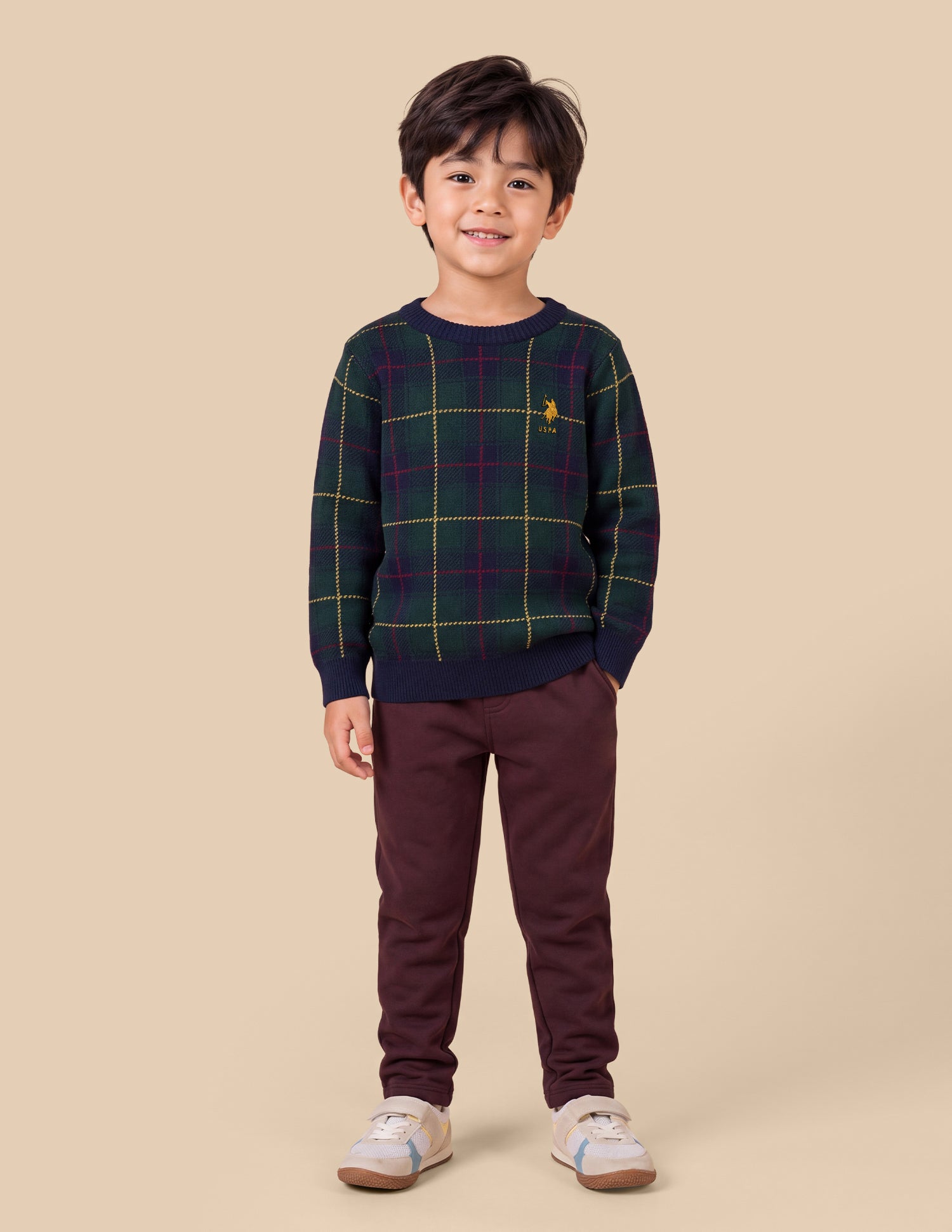 Checked Regular Fit Sweater Green - U.S. Polo Assn. India | Large