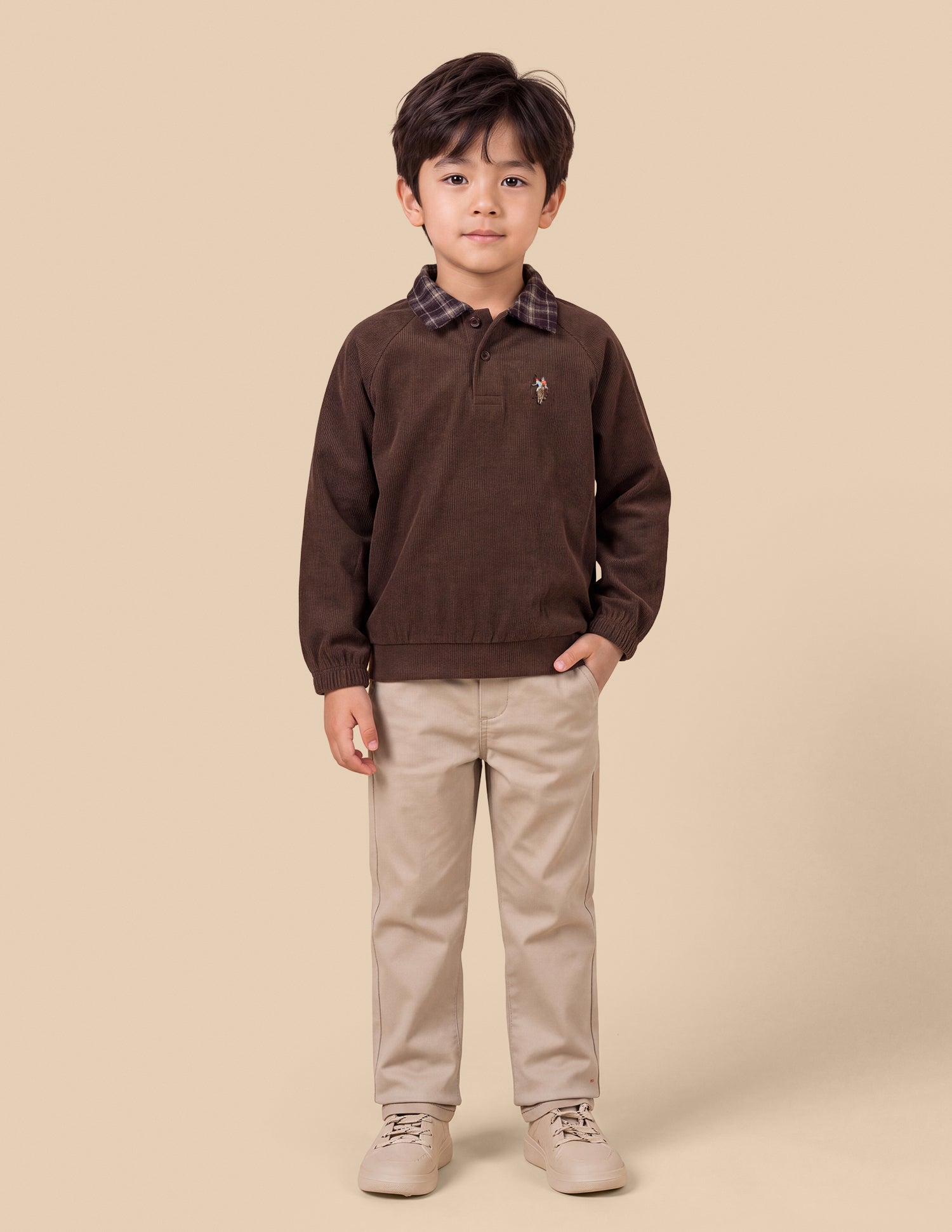 Solid Regular Fit Sweatshirt Brown - U.S. Polo Assn. India | Large