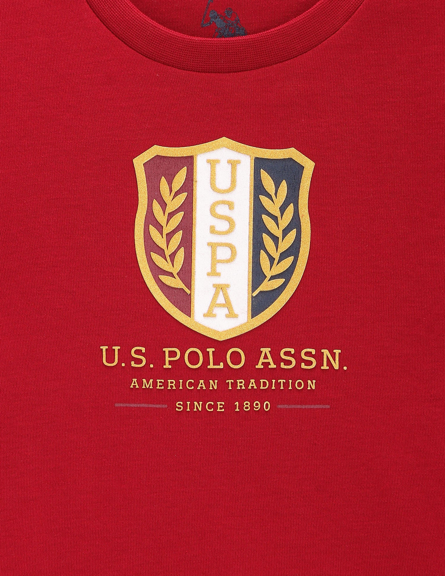 Boys Brand Print Cotton T-Shirt Maroon - U.S. POLO ASSN. | Large