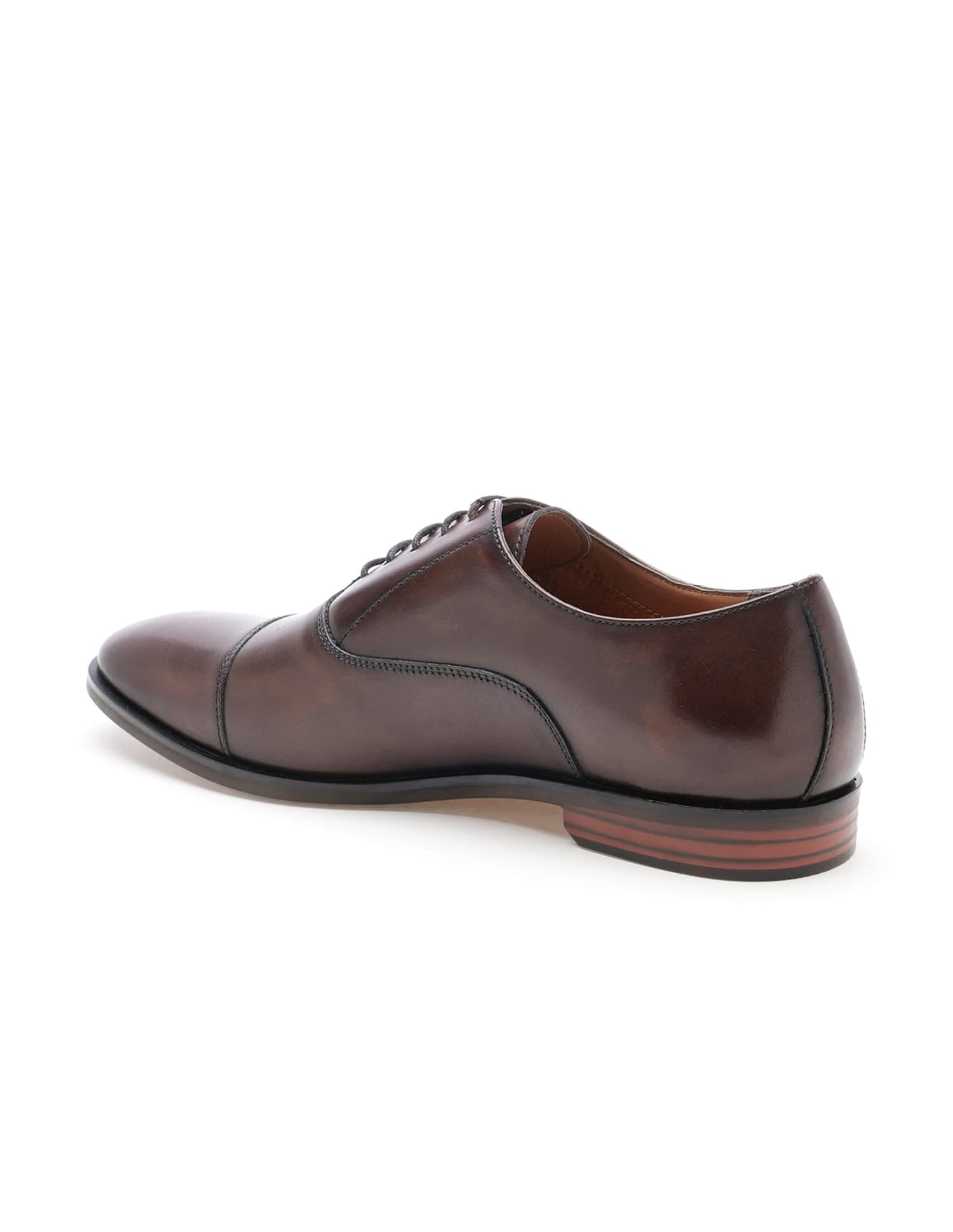 Orion 3.0 Leather Shoes Brown - U.S. Polo Assn. India | Large
