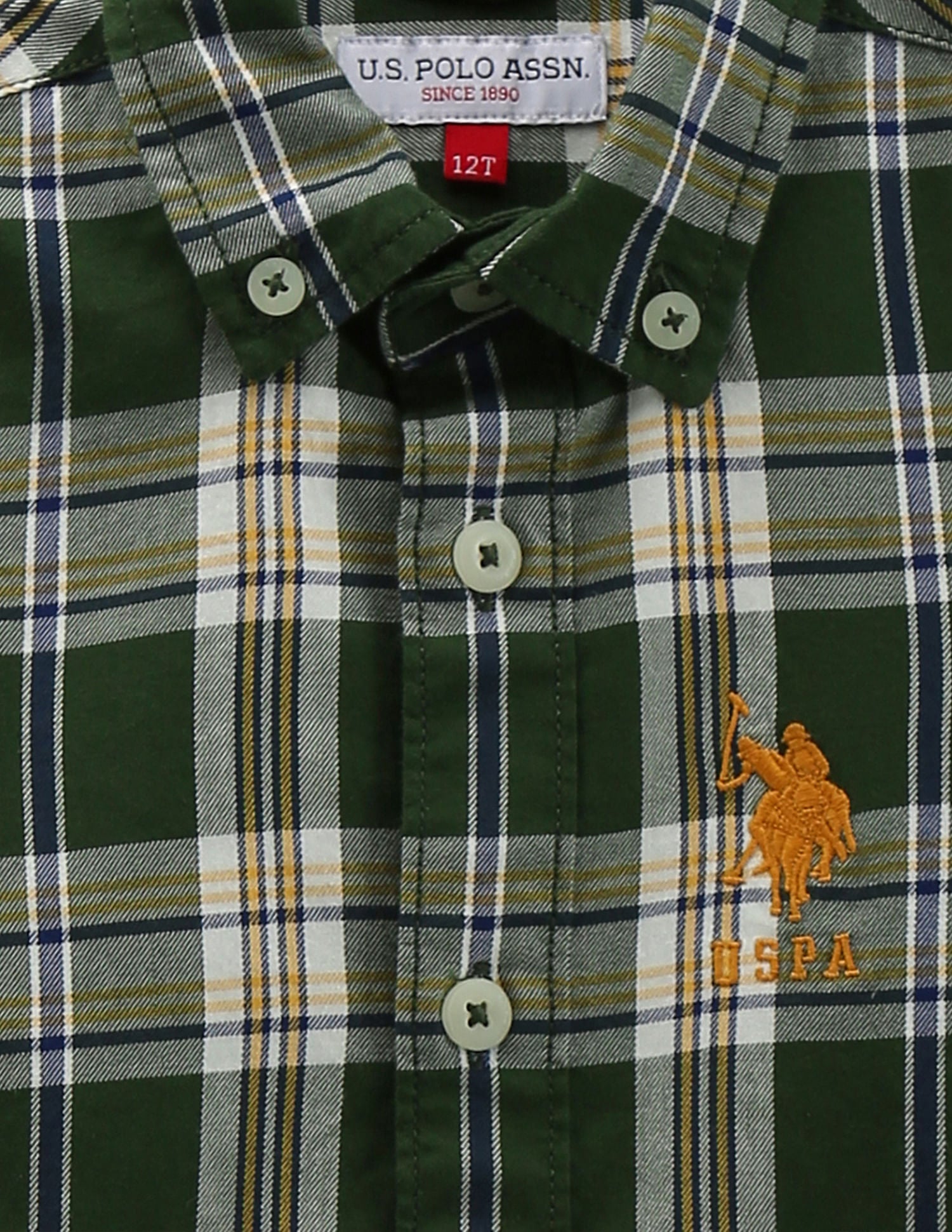 Boys Check Cotton Shirt Olive - U.S. Polo Assn. India | Large