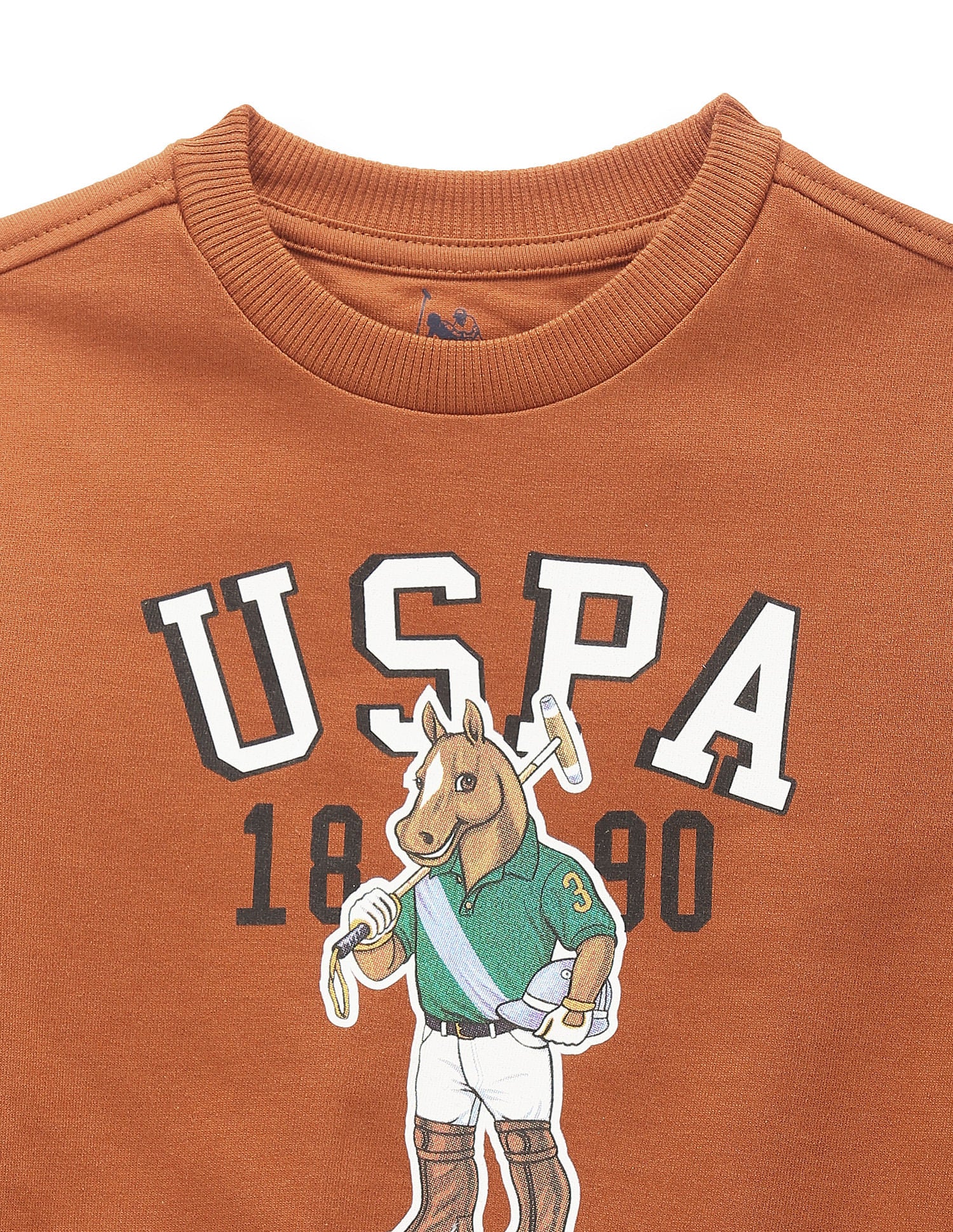 Boys Mascot Print Sweatshirt Brown - U.S. Polo Assn. India | Large