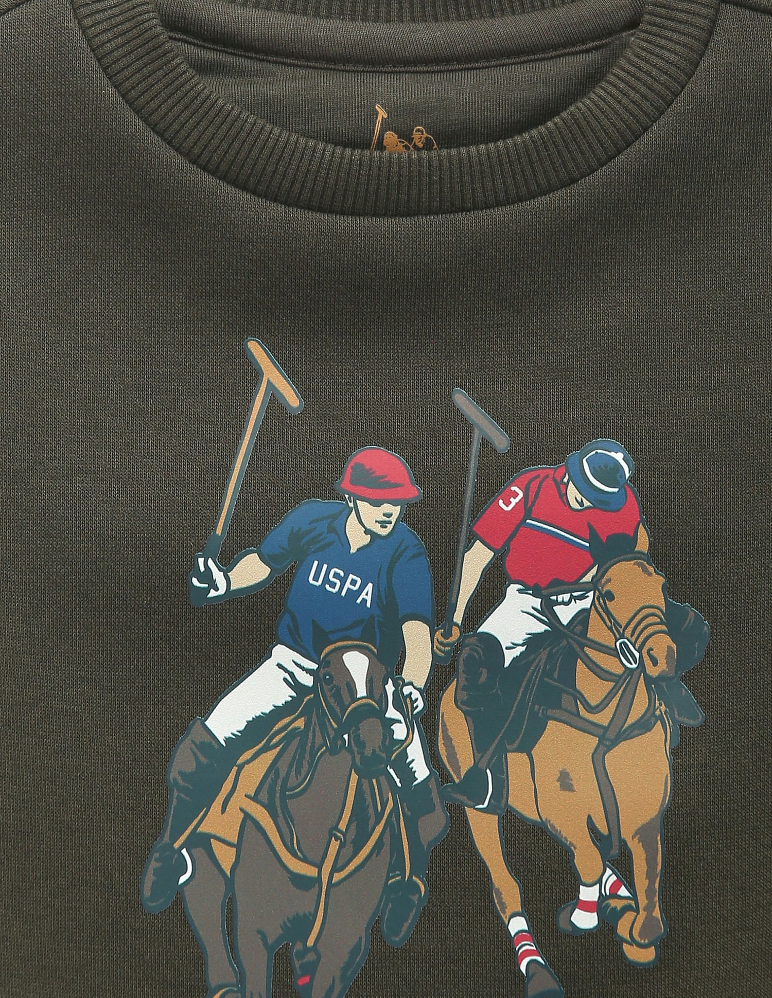Boys Crew Neck Brand Print Sweatshirt Olive - U.S. Polo Assn. India | Large