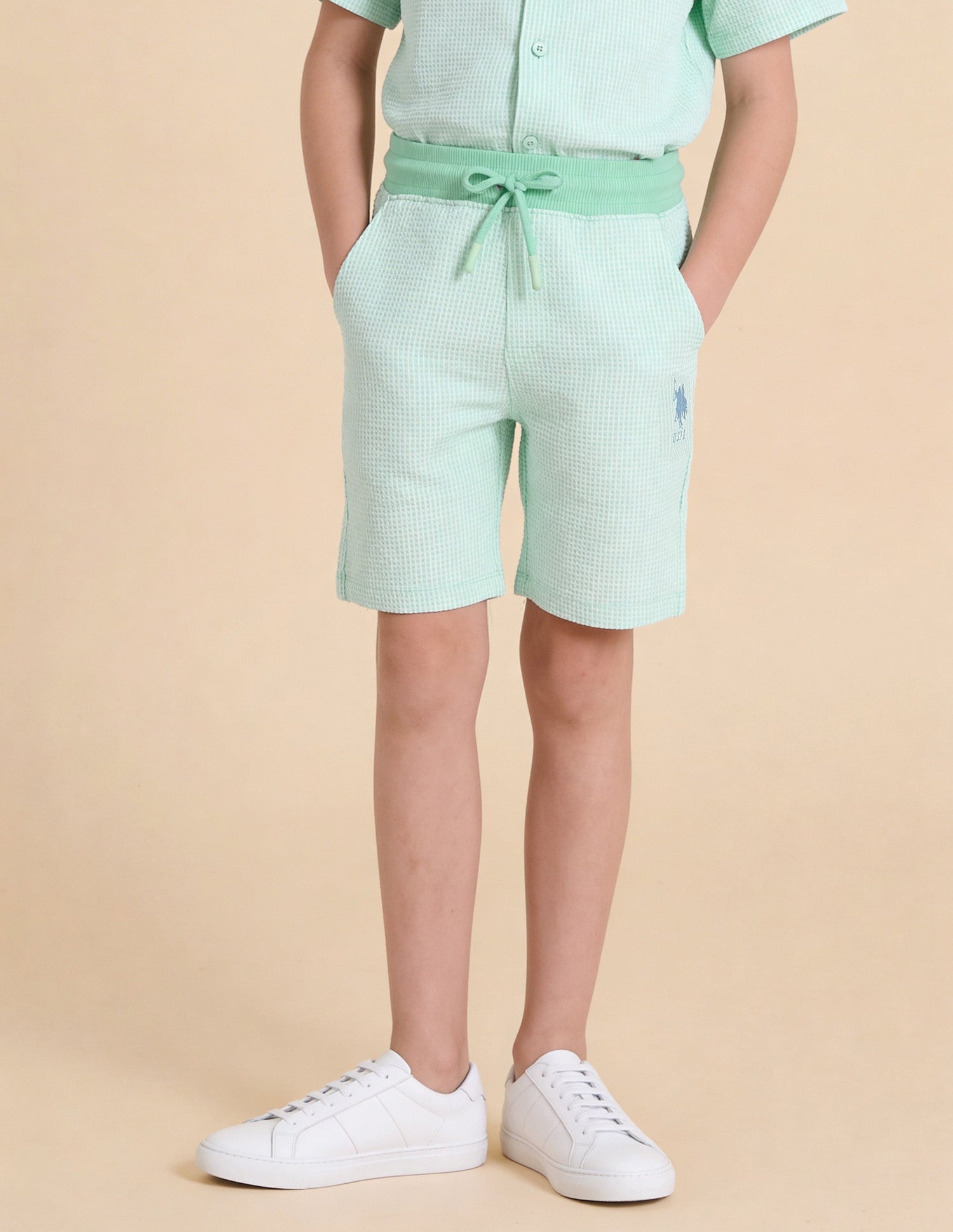 Textured Regular Fit Shorts Light Green - U.S. Polo Assn. India | Large
