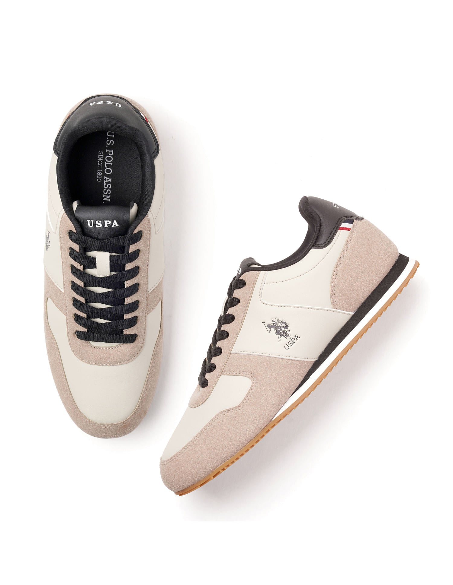 Men Enco Sneakers Beige - U.S. Polo Assn. India | Large