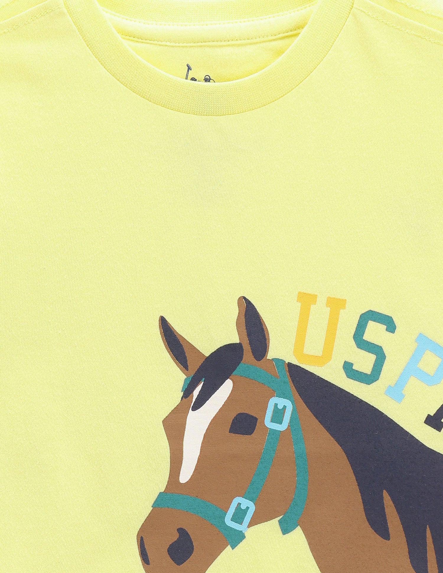 Boys Graphic Print Cotton T-Shirt Lime - U.S. POLO ASSN. | Large