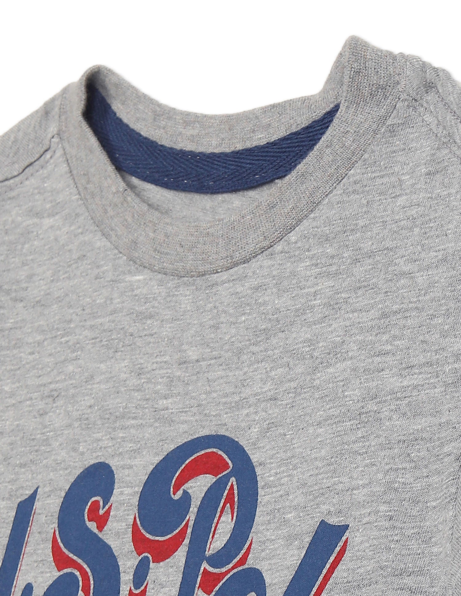 Crew Neck Brand Print T-Shirt Grey - U.S. POLO ASSN. | Large