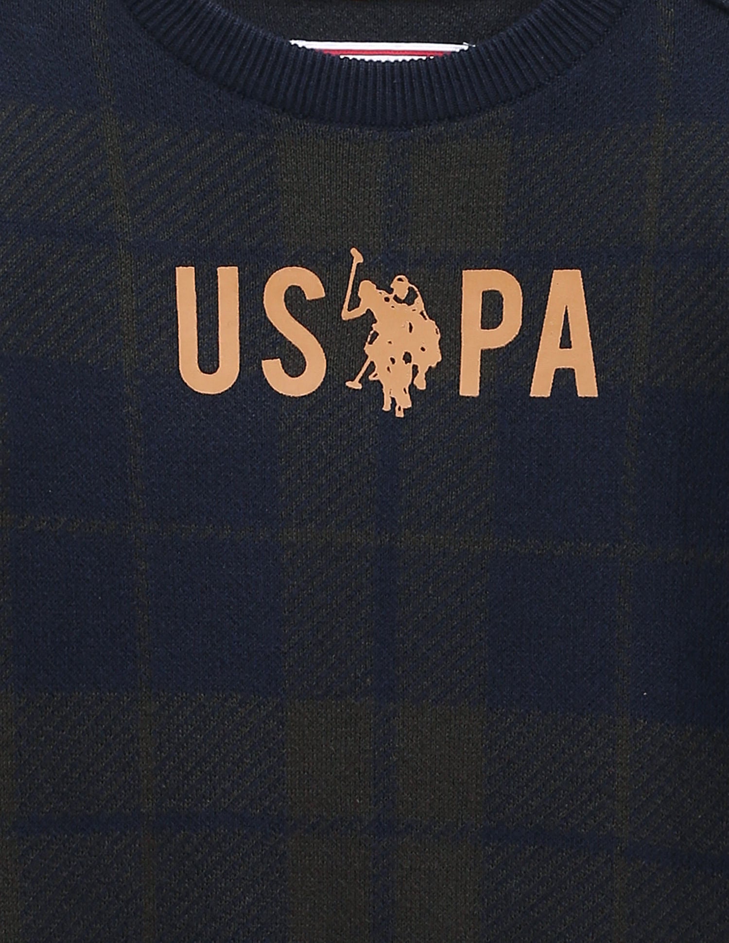 Boys Crew Neck Check Sweater Green - U.S. POLO ASSN. | Large