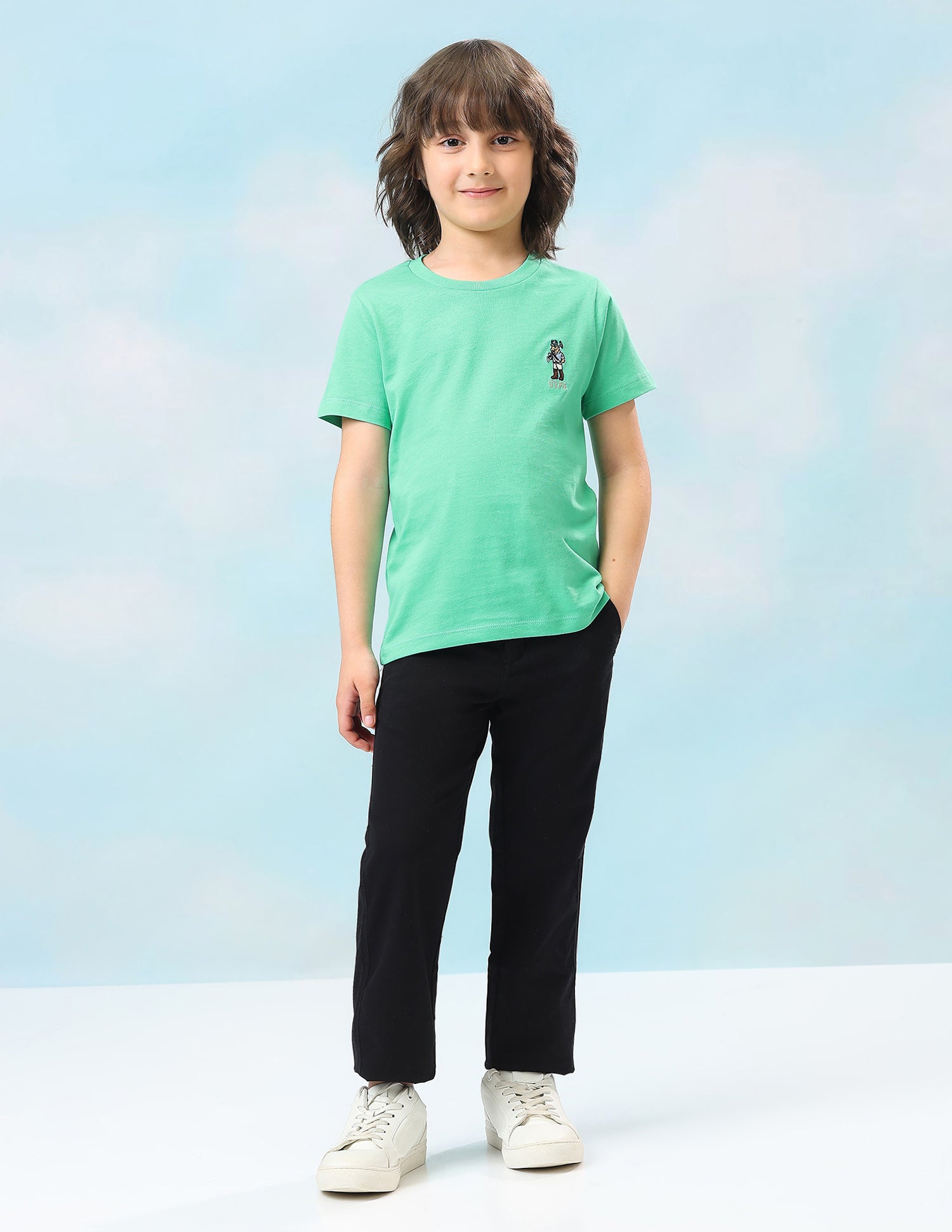 Solid Regular Fit T-Shirt Light Green - U.S. Polo Assn. India | Large