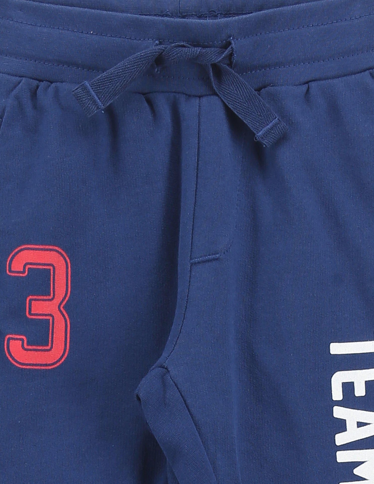 Boys Brand Print Joggers Blue - U.S. Polo Assn. India | Large