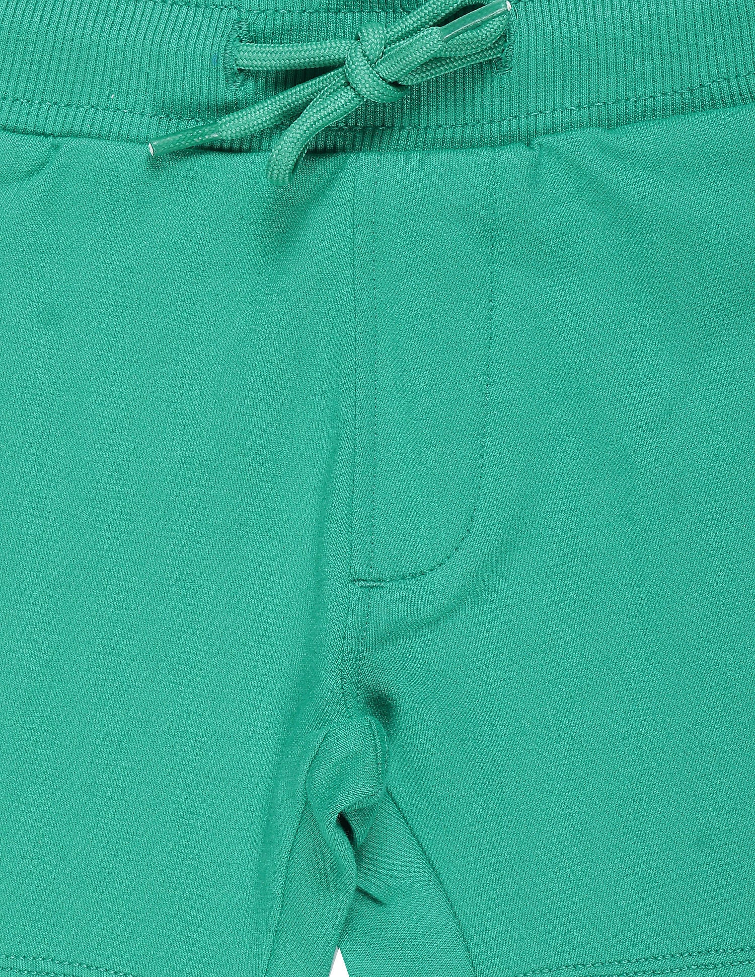 Boys Embroidered Shorts Green - U.S. Polo Assn. India | Large