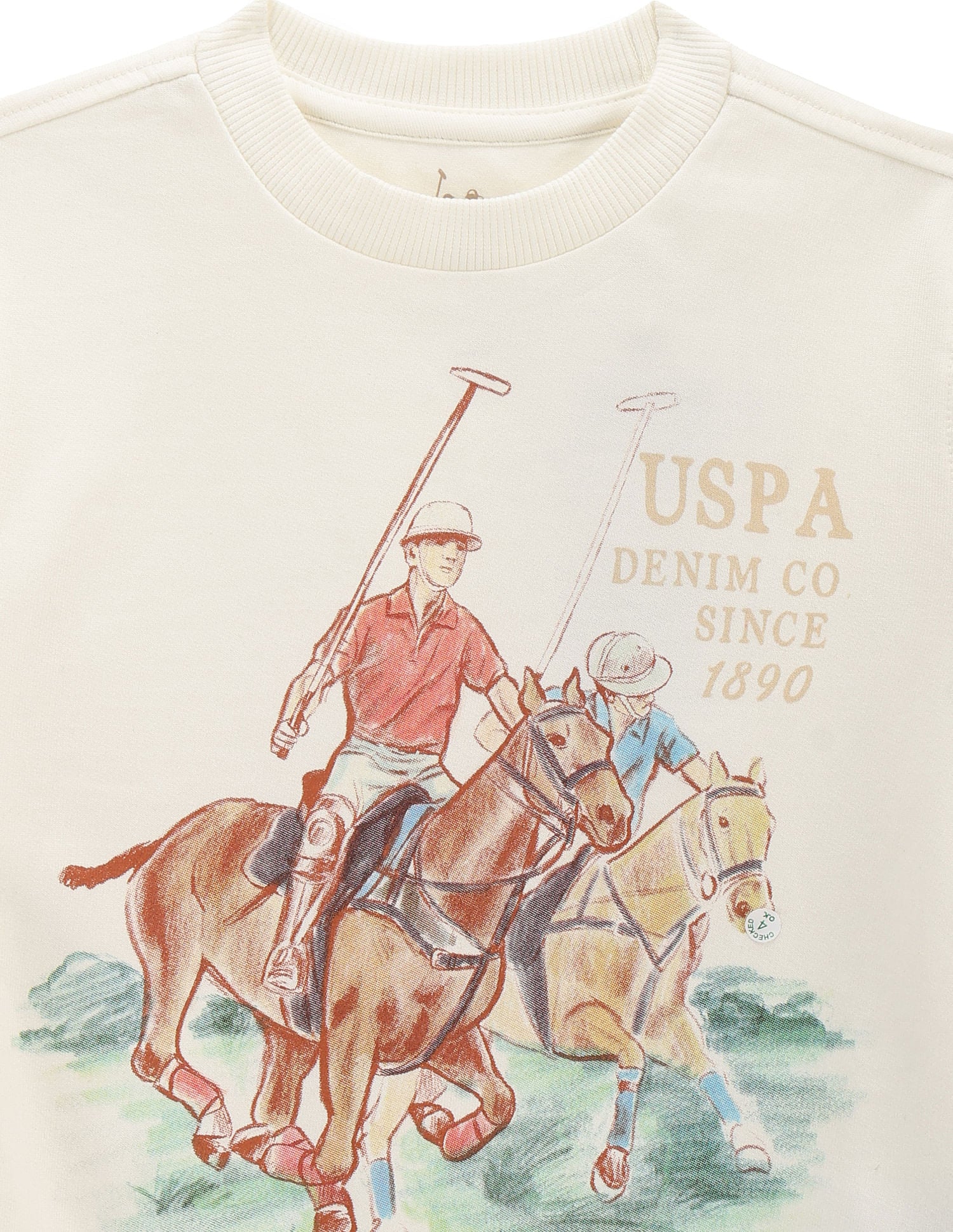 Boys Brand Print Sweatshirt White - U.S. Polo Assn. India | Large