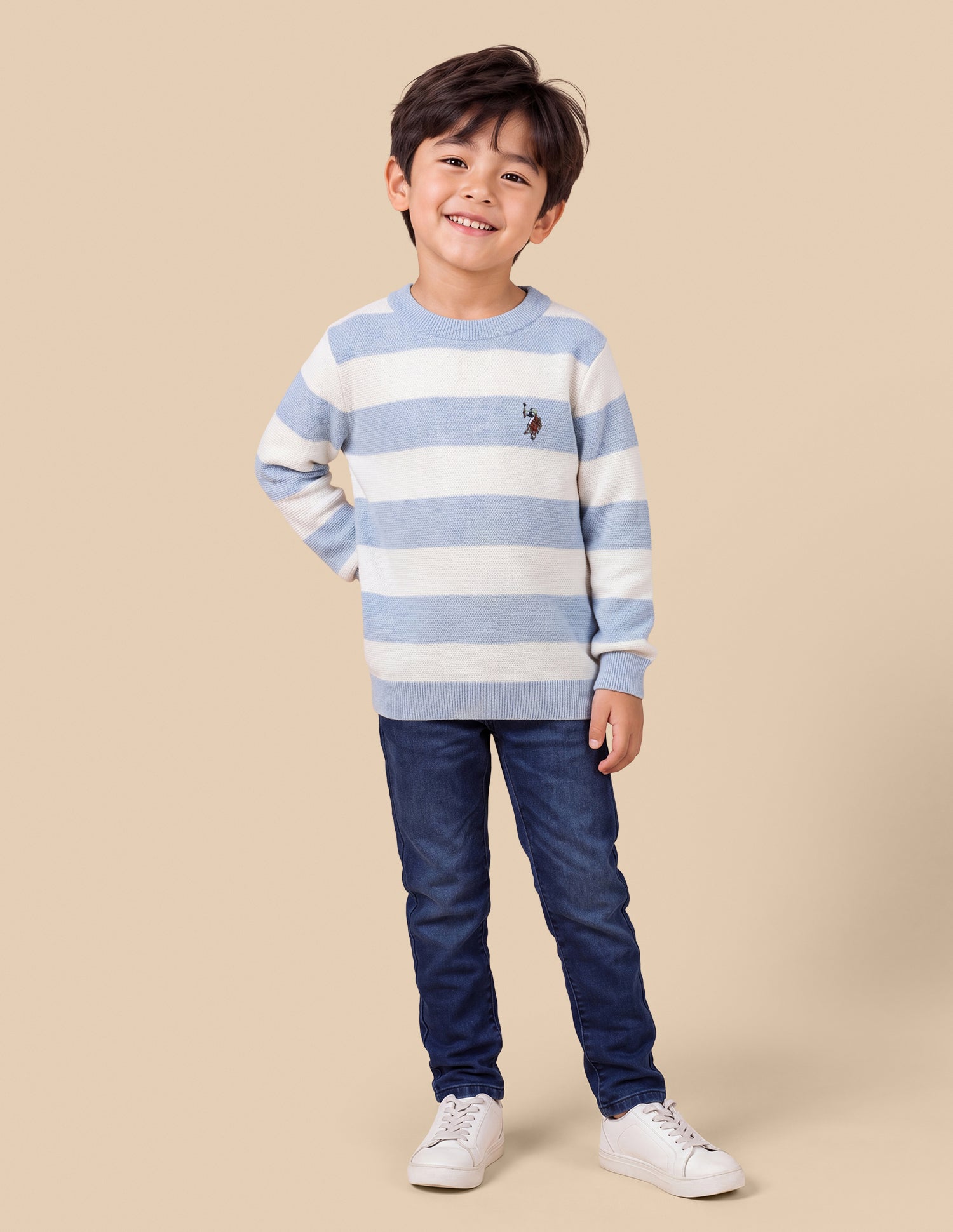 Horizontal Striped Regular Fit Sweater Light Blue - U.S. Polo Assn. India | Large