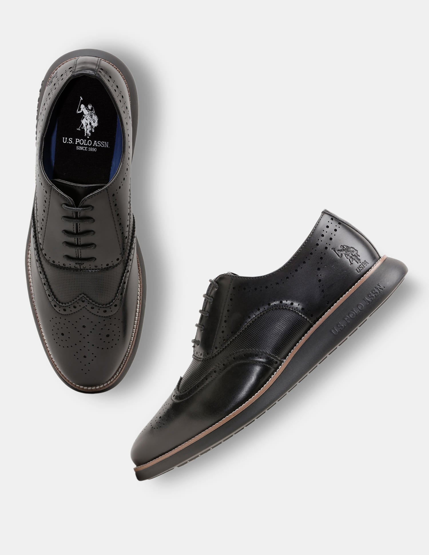 Round Toe Wingtip Marco 2.0 Brogues Black - U.S. Polo Assn. India | Large