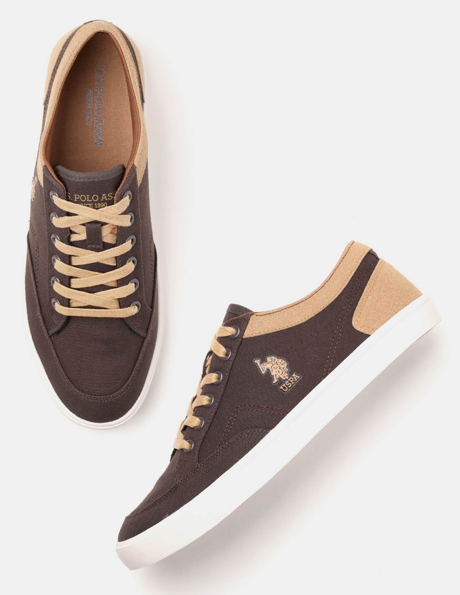 Men Monton 6.0 Colour Blocked Sneakers Brown - U.S. Polo Assn. India | Large