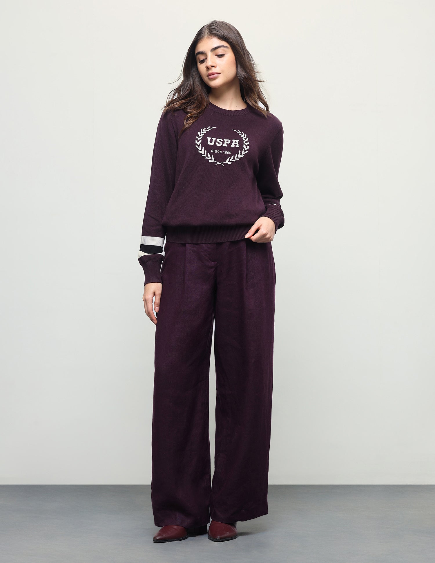 Brand Patterned Knit Regular Fit Sweater Purple - U.S. Polo Assn. India | Large