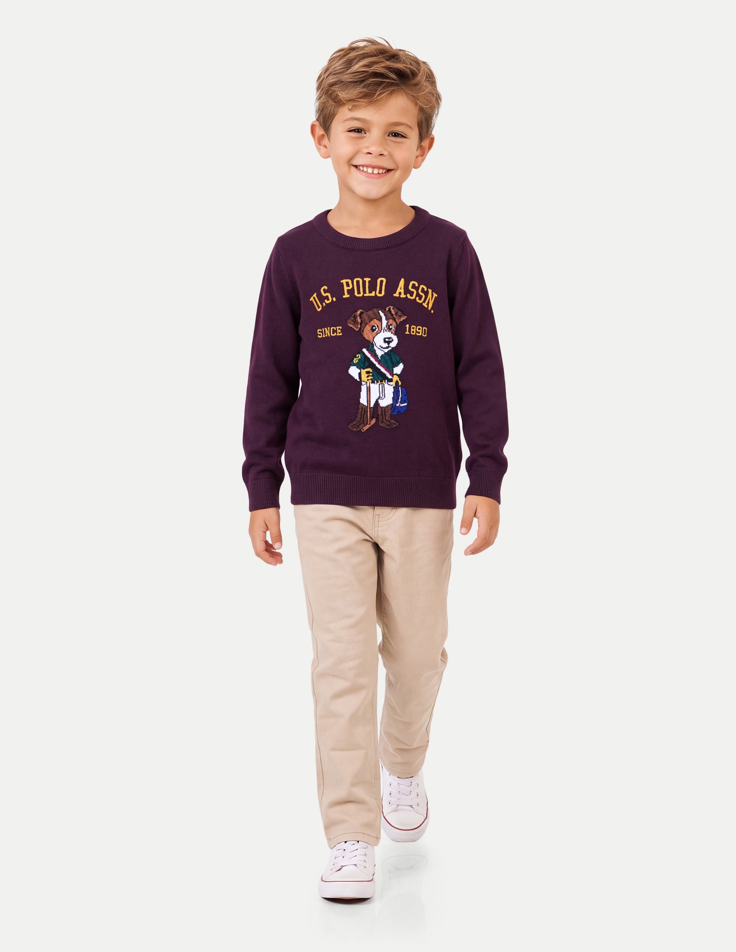 Brand Graphic Embroidered Regular Fit Sweater Wine - U.S. Polo Assn. India | Large