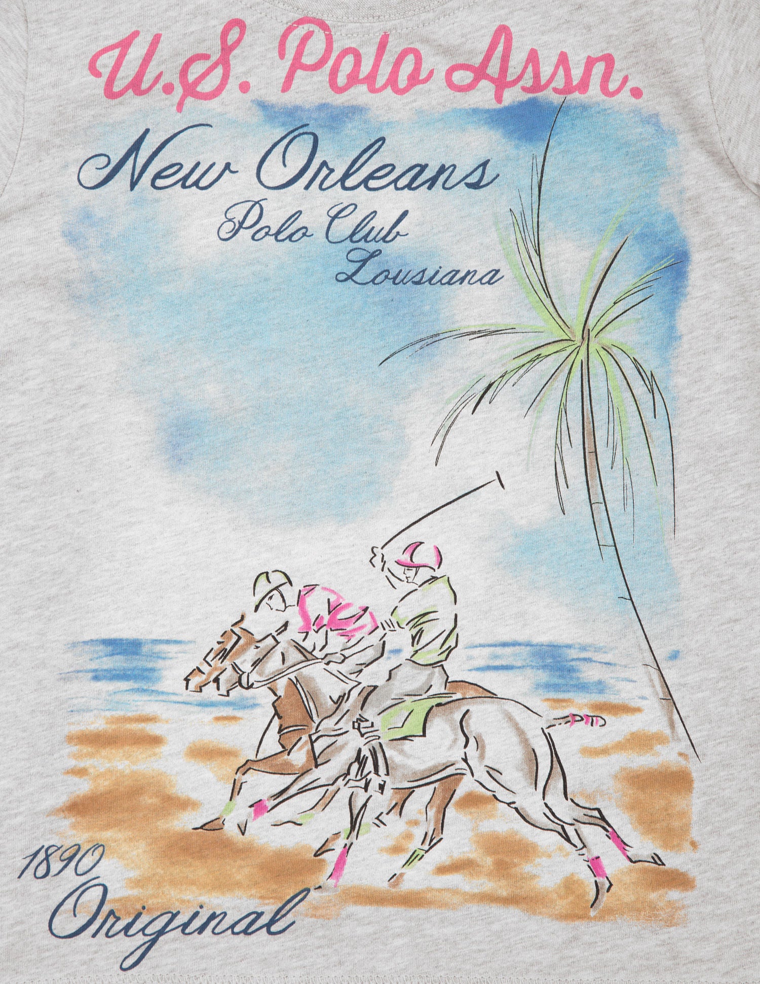 Boys Printed Regular Fit T-Shirt Grey - U.S. POLO ASSN. | Large