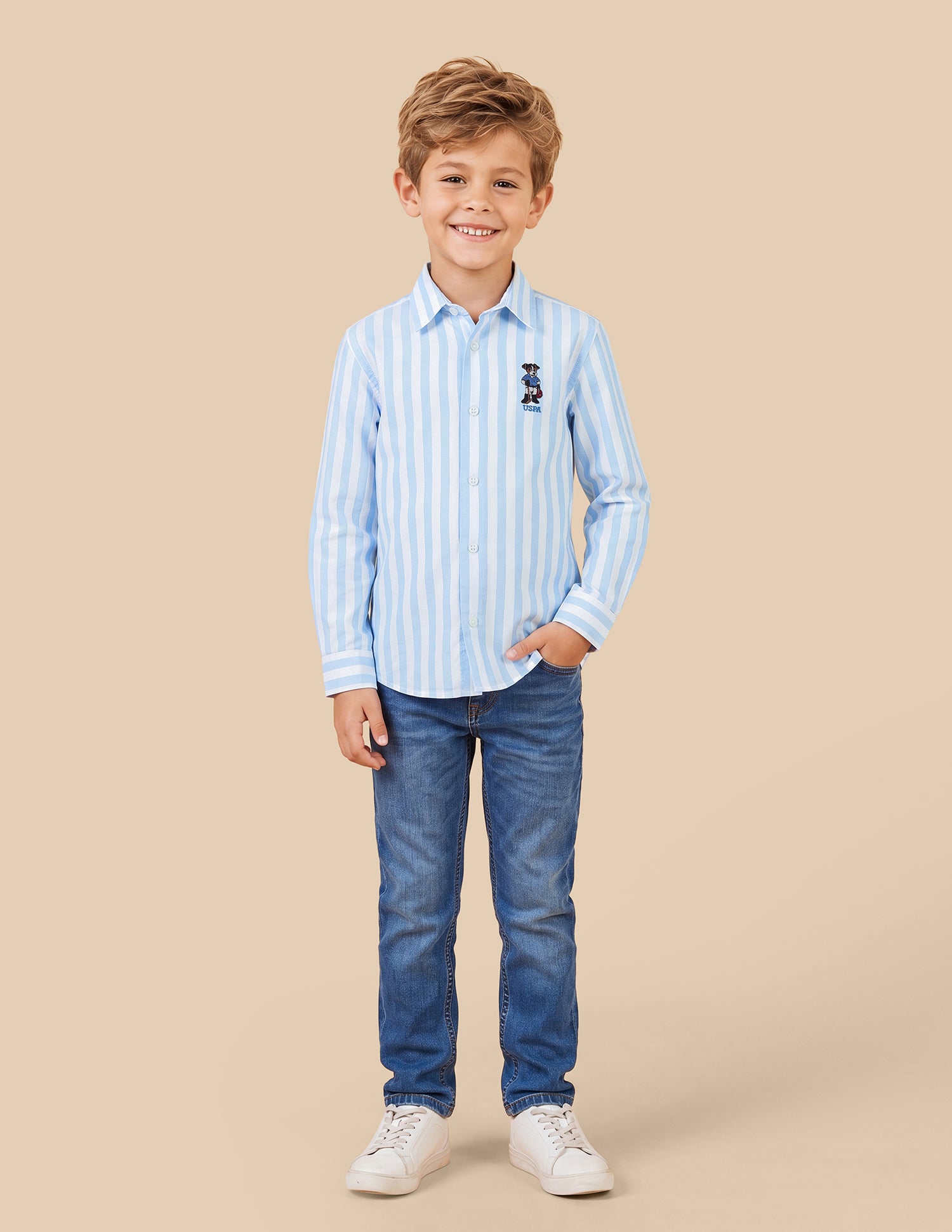 Vertical Striped Oxford Shirt Blue - U.S. Polo Assn. India | Large