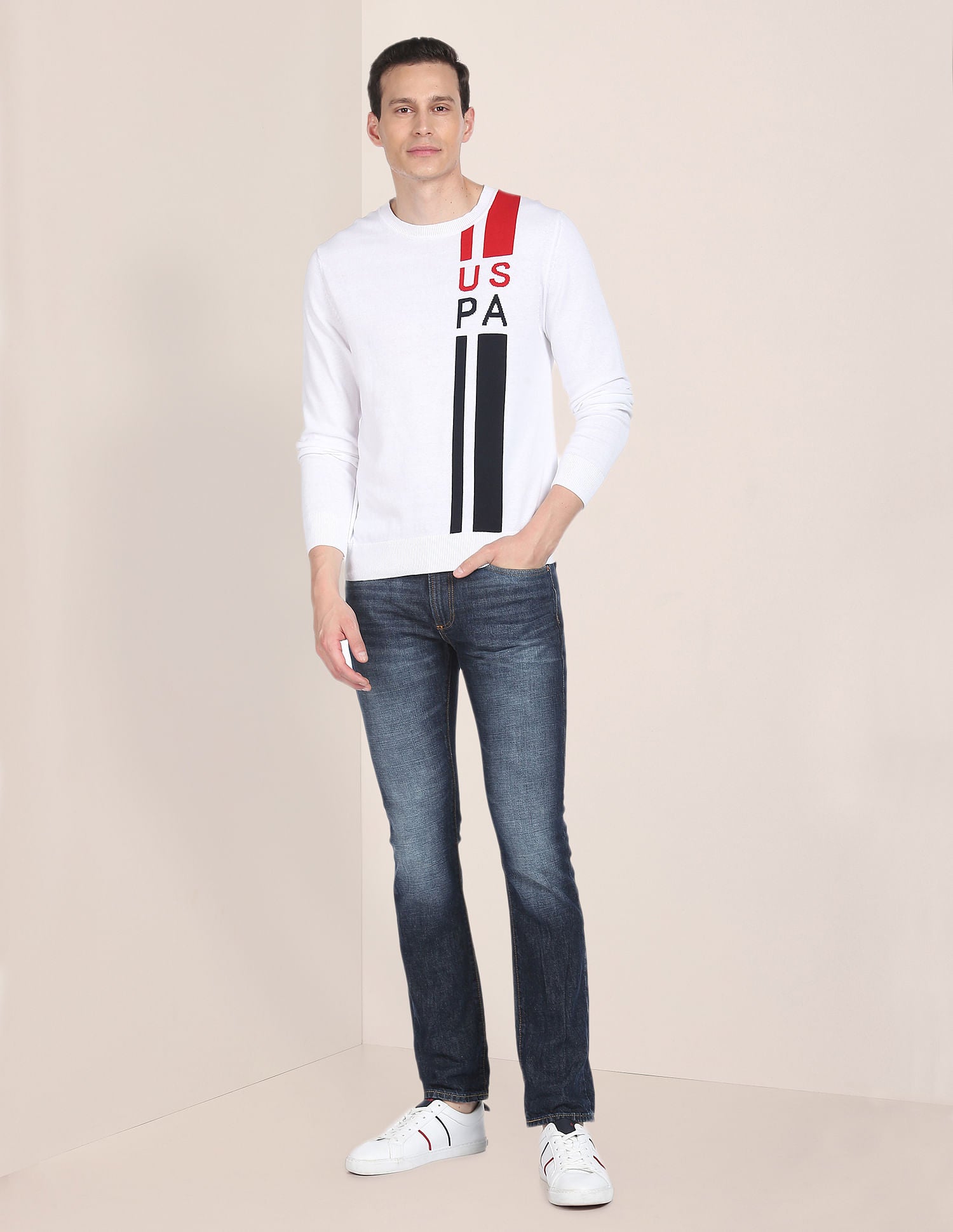 Crew Neck Patterned Knit Sweater White - U.S. Polo Assn. India | Large