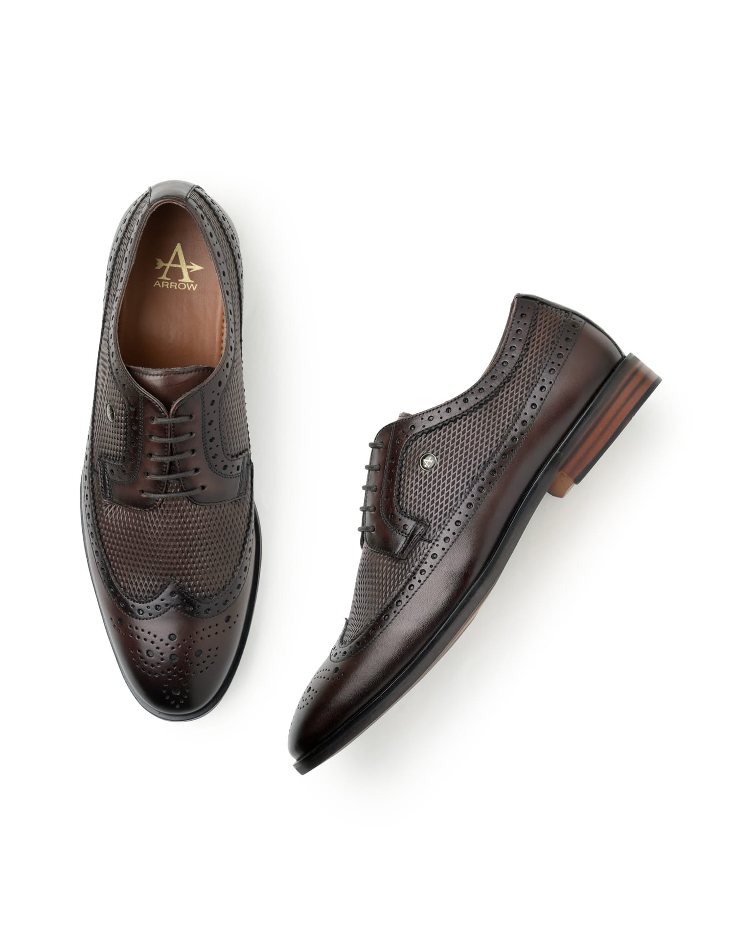 Denise 4.0 Leather Brogues Brown - U.S. Polo Assn. India | Large