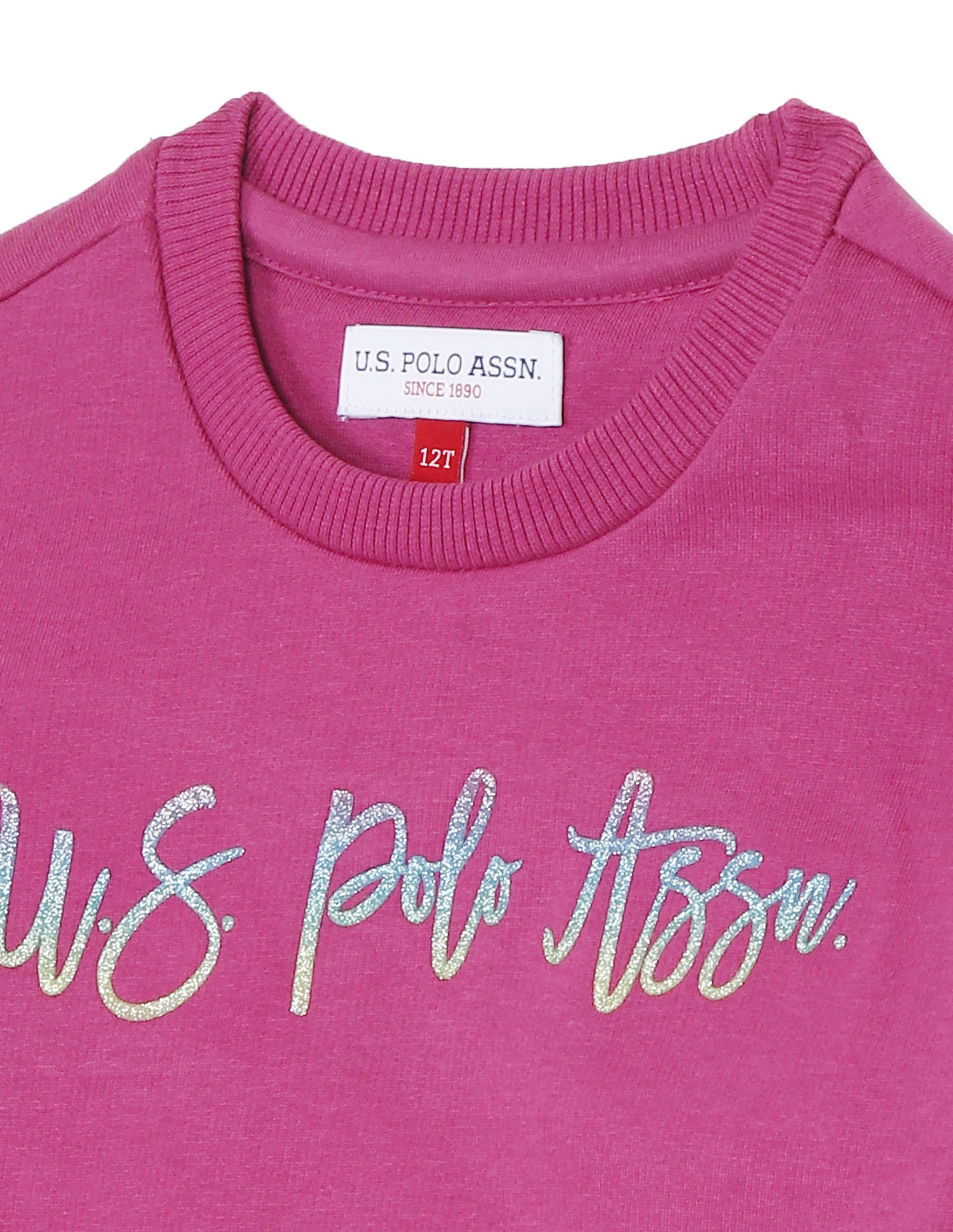 Crew Neck Logo Sweatshirt Dark Pink - U.S. POLO ASSN. | Large