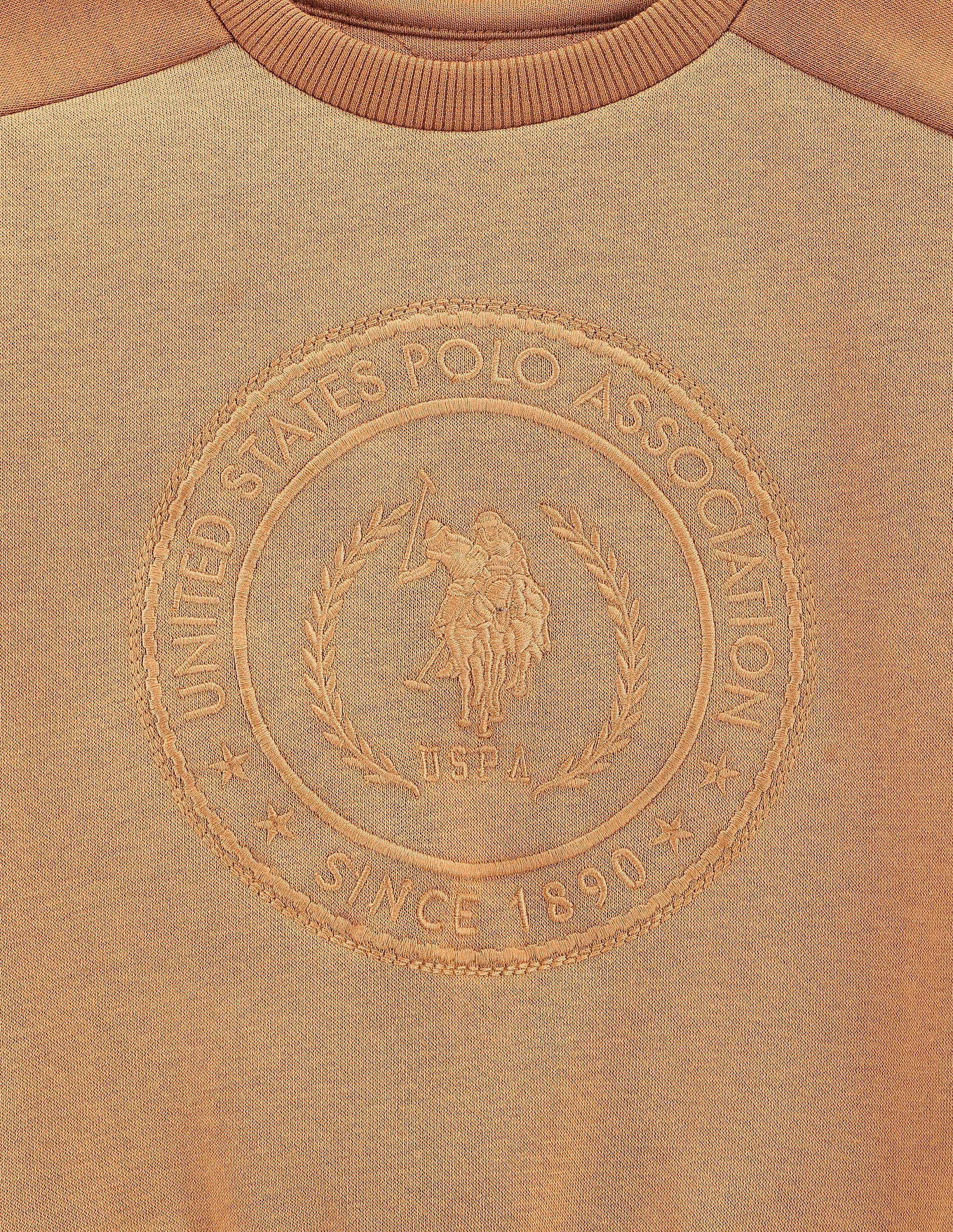 Boys Brand Embroidered Sweatshirt Brown - U.S. POLO ASSN. | Large