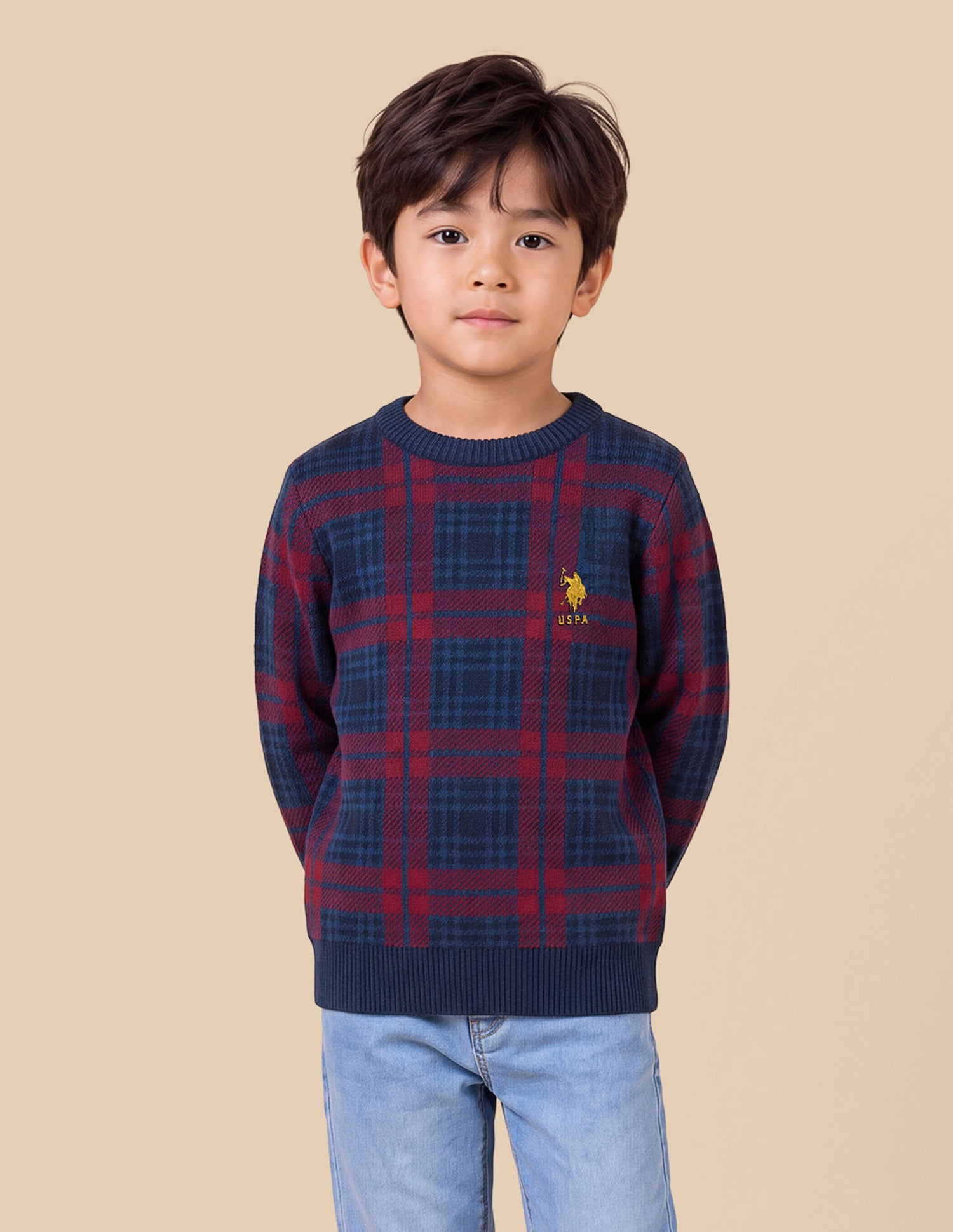 Checked Regular Fit Sweater Maroon - U.S. Polo Assn. India | Large
