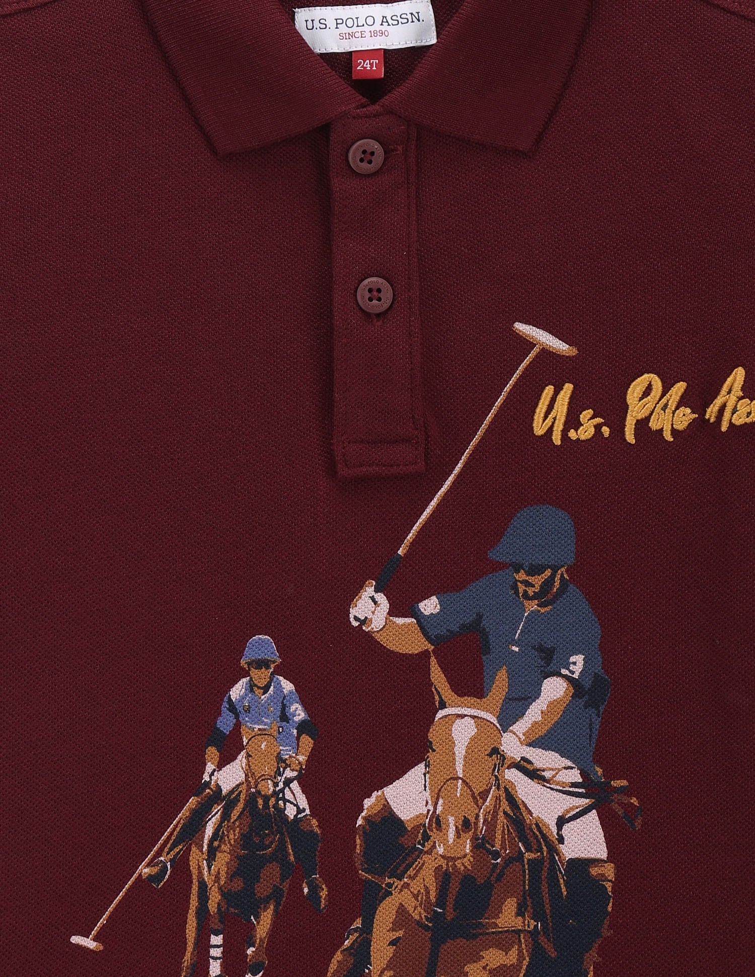 Boys Graphic Print Polo Shirt Wine - U.S. POLO ASSN. | Large
