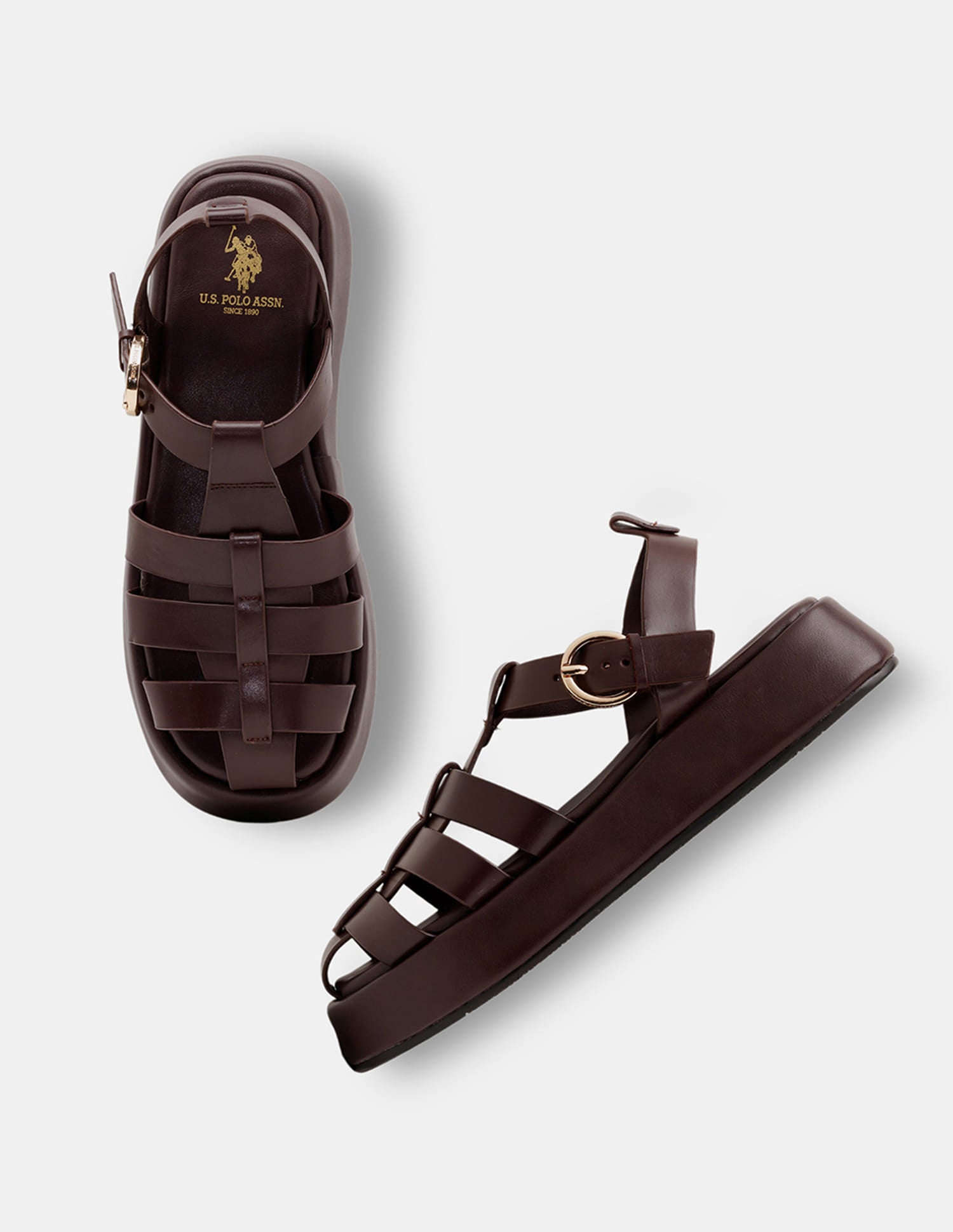 Women Multi Strap Nara Buckle Sandals Dark Brown - U.S. Polo Assn. India | Large