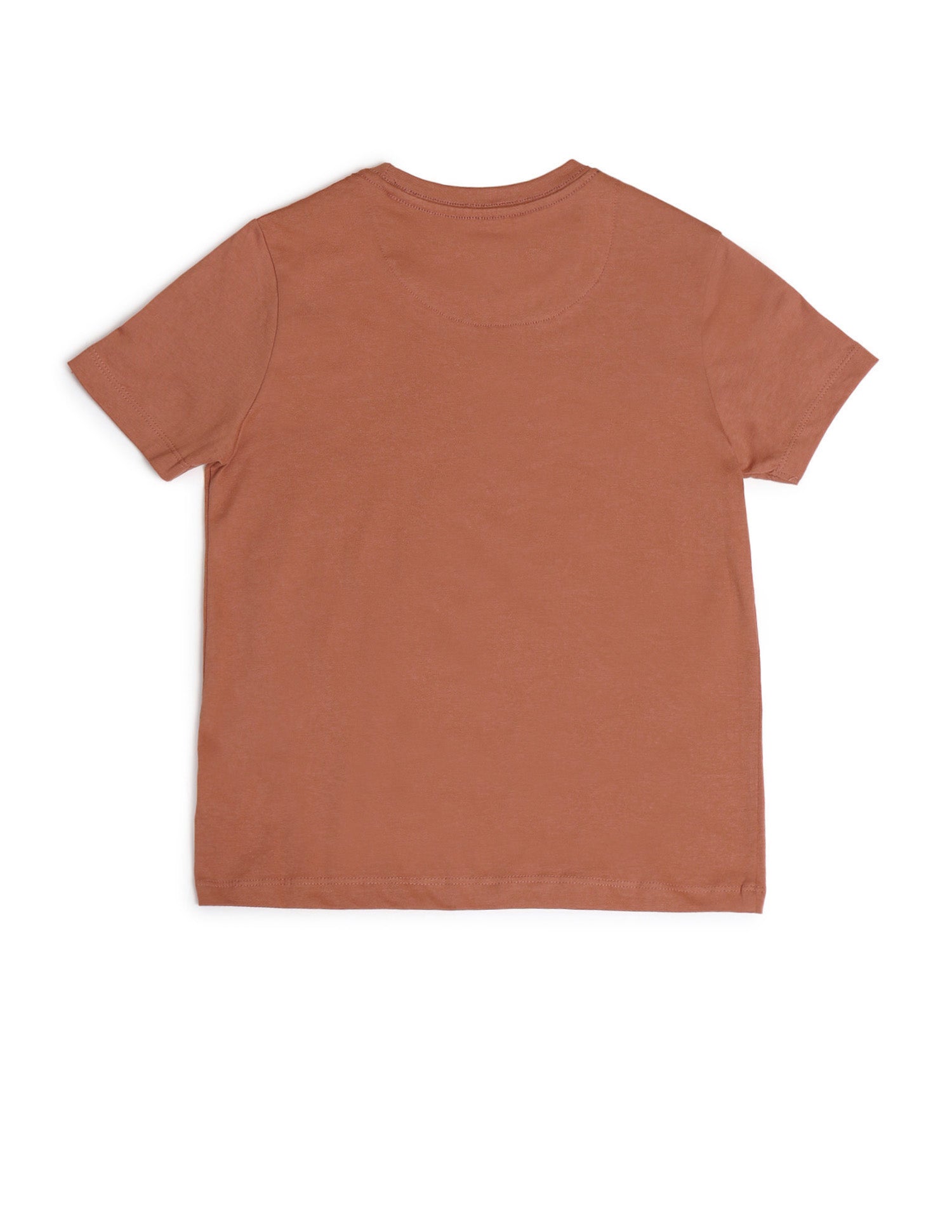 Boys Crew Neck Brand Printed T-Shirt Rust - U.S. Polo Assn. India | Large