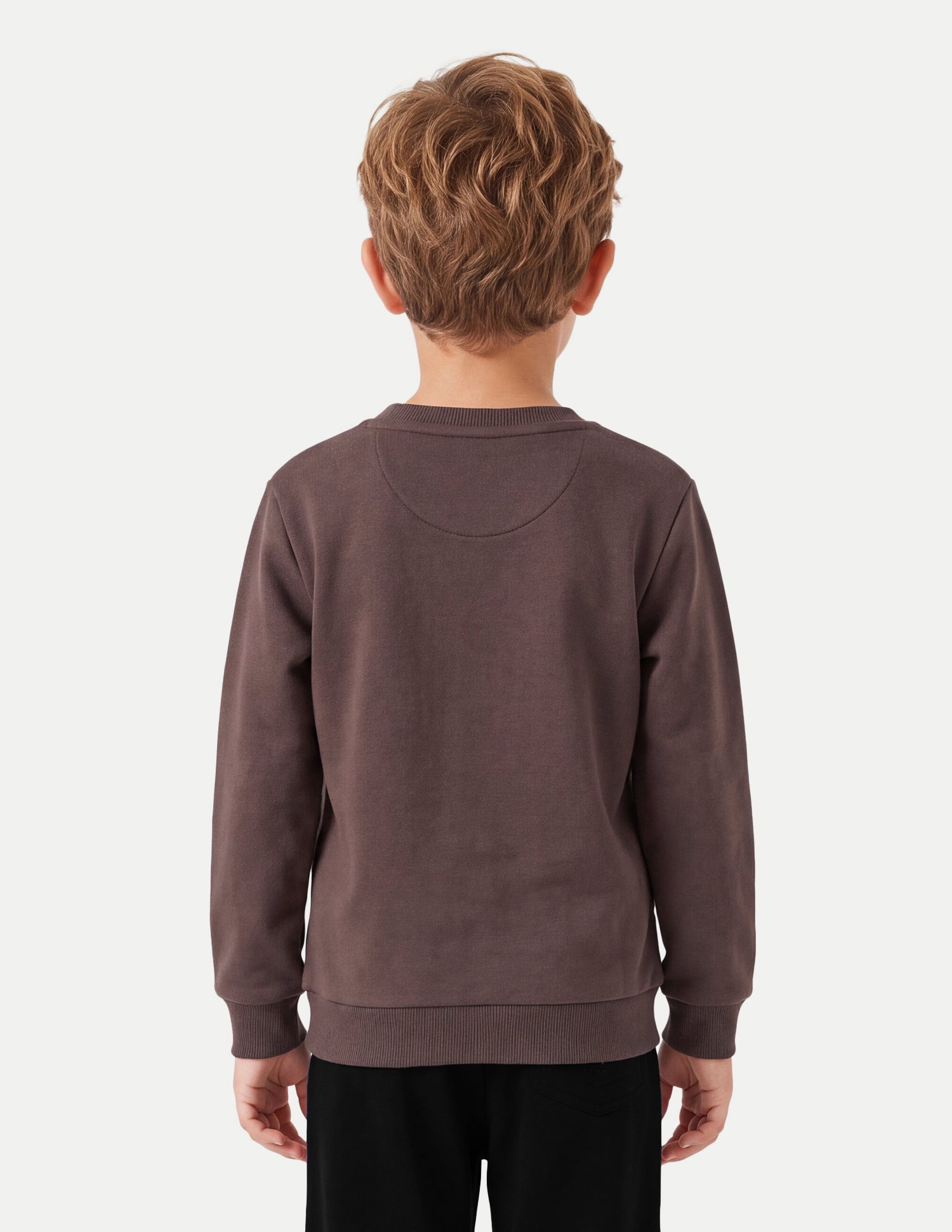 Solid Regular Fit Sweatshirt Brown - U.S. Polo Assn. India | Large