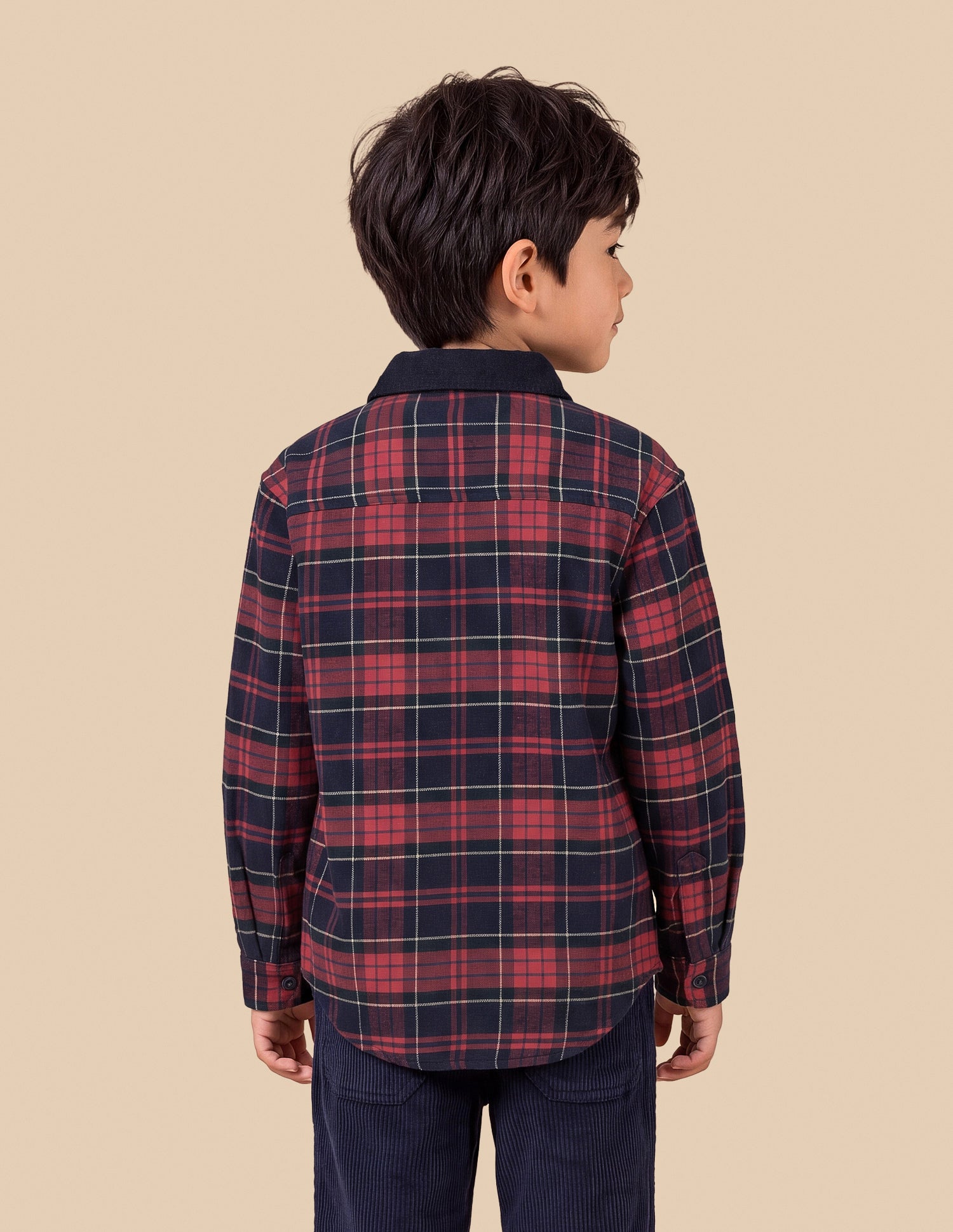Plaid Checked Twill Shirt Red - U.S. Polo Assn. India | Large