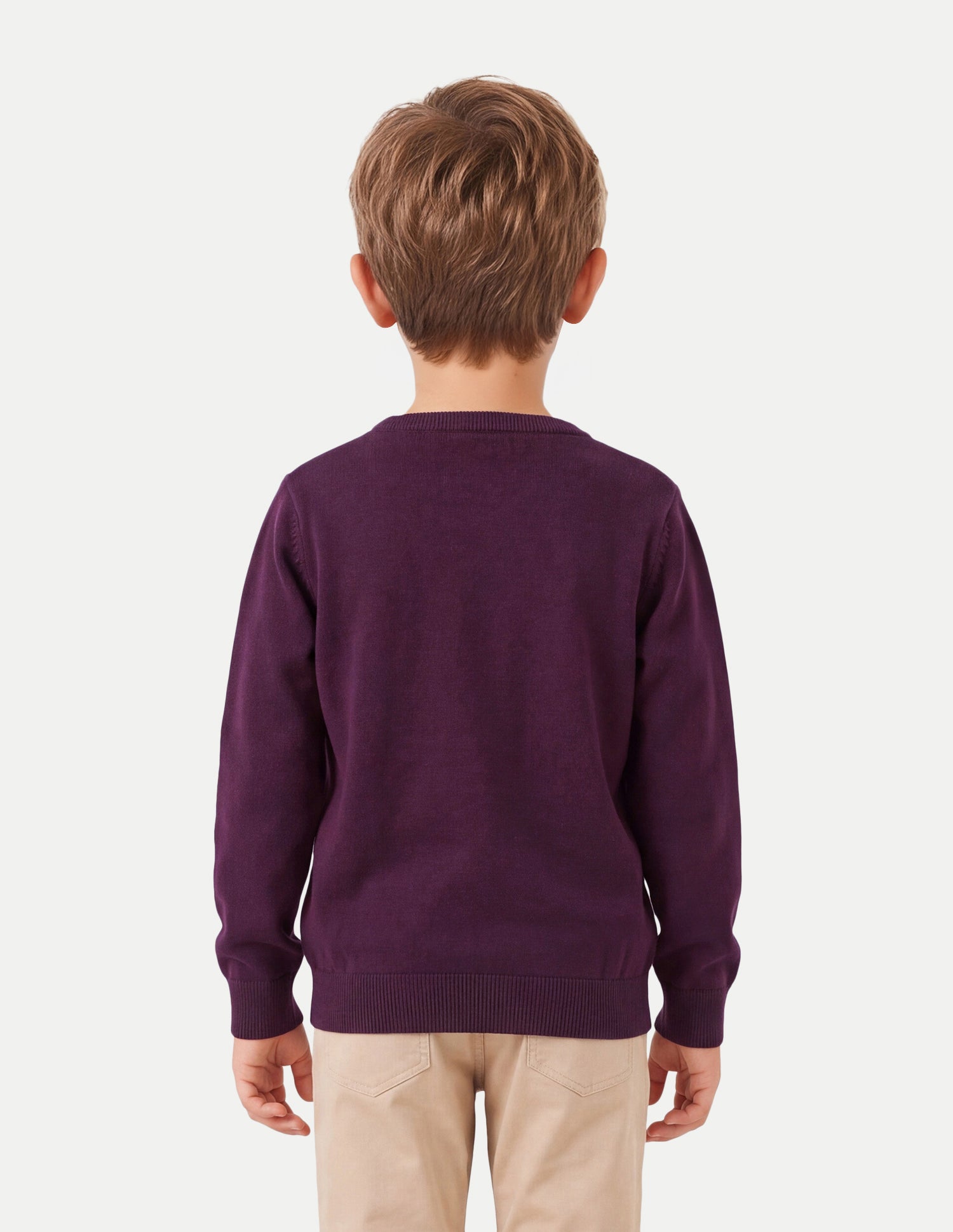 Brand Graphic Embroidered Regular Fit Sweater Wine - U.S. Polo Assn. India | Large