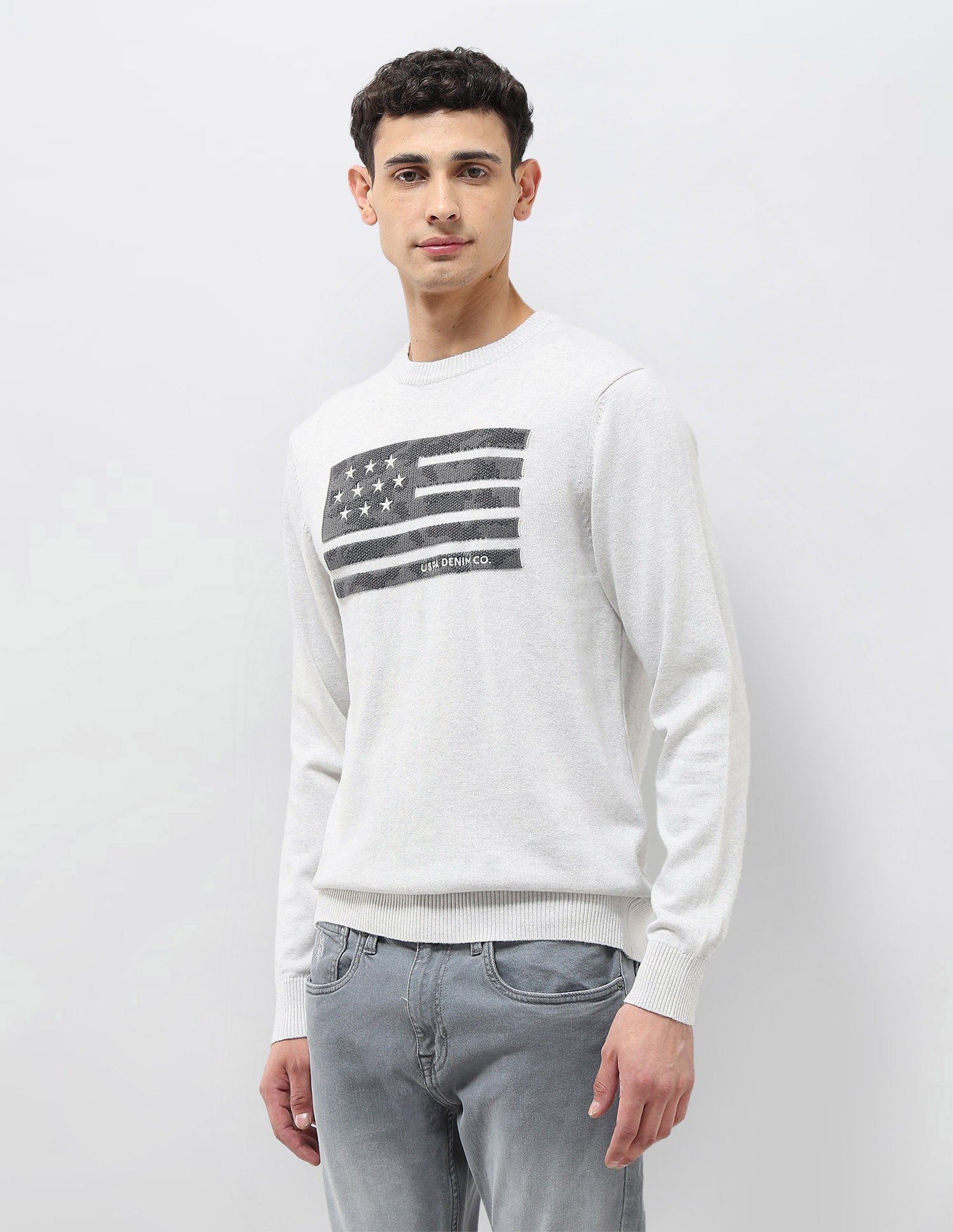 Graphic Patterned Knit Regular Fit Sweater Grey - U.S. POLO ASSN. | Large