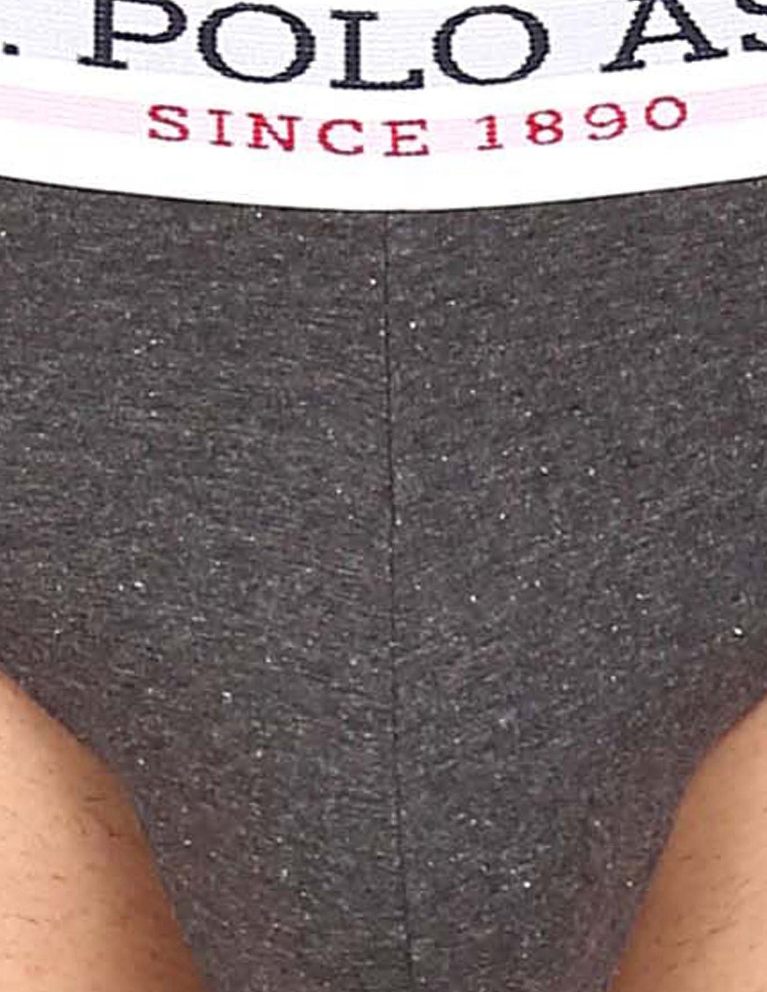 Elasticized Waist Pure Cotton I006 Briefs - Pack Of 3 Grey, Red and Navy - U.S. POLO ASSN. | Large