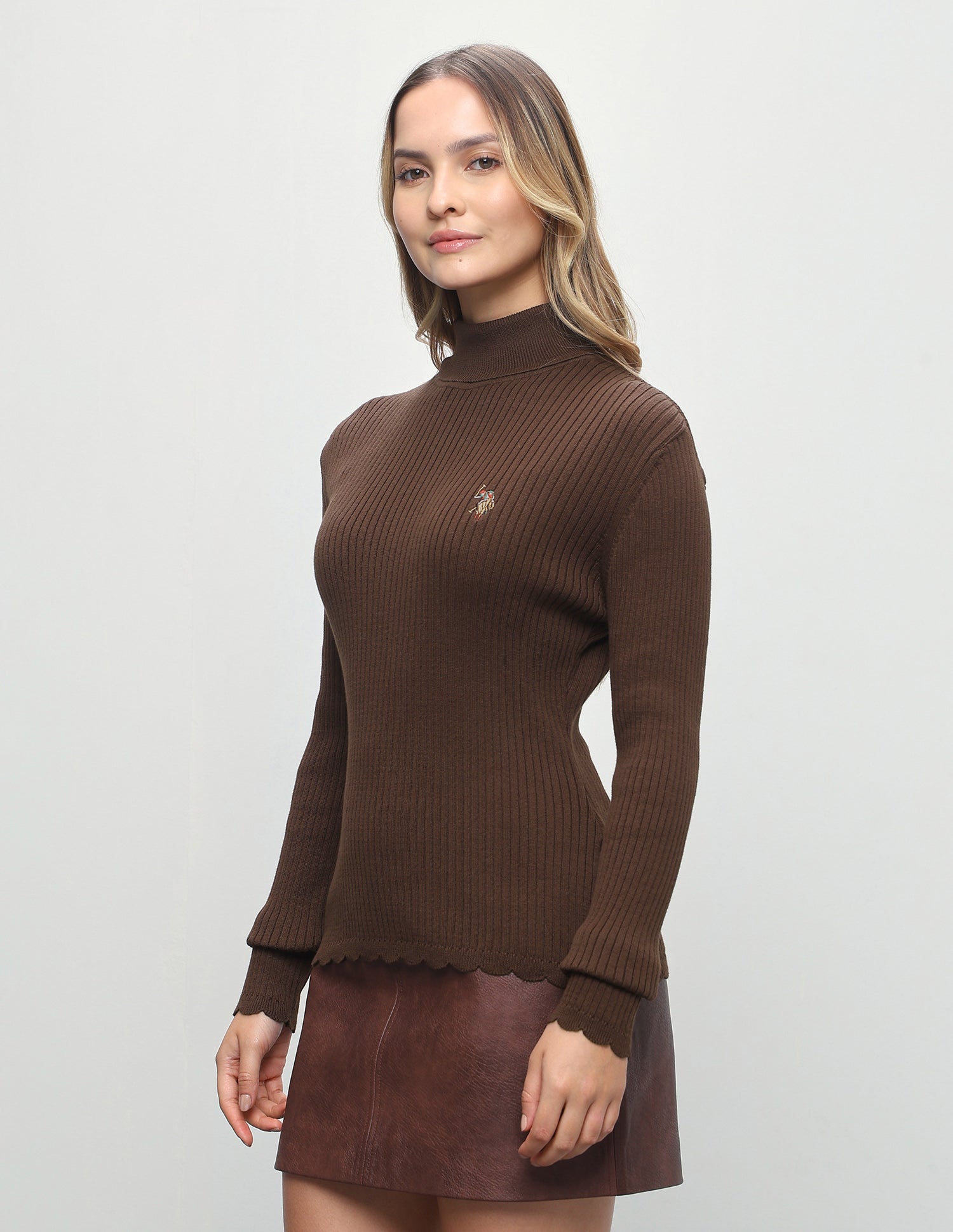Vertical Striped Patterned Knit Fitted Sweater Dark Brown - U.S. Polo Assn. India | Large