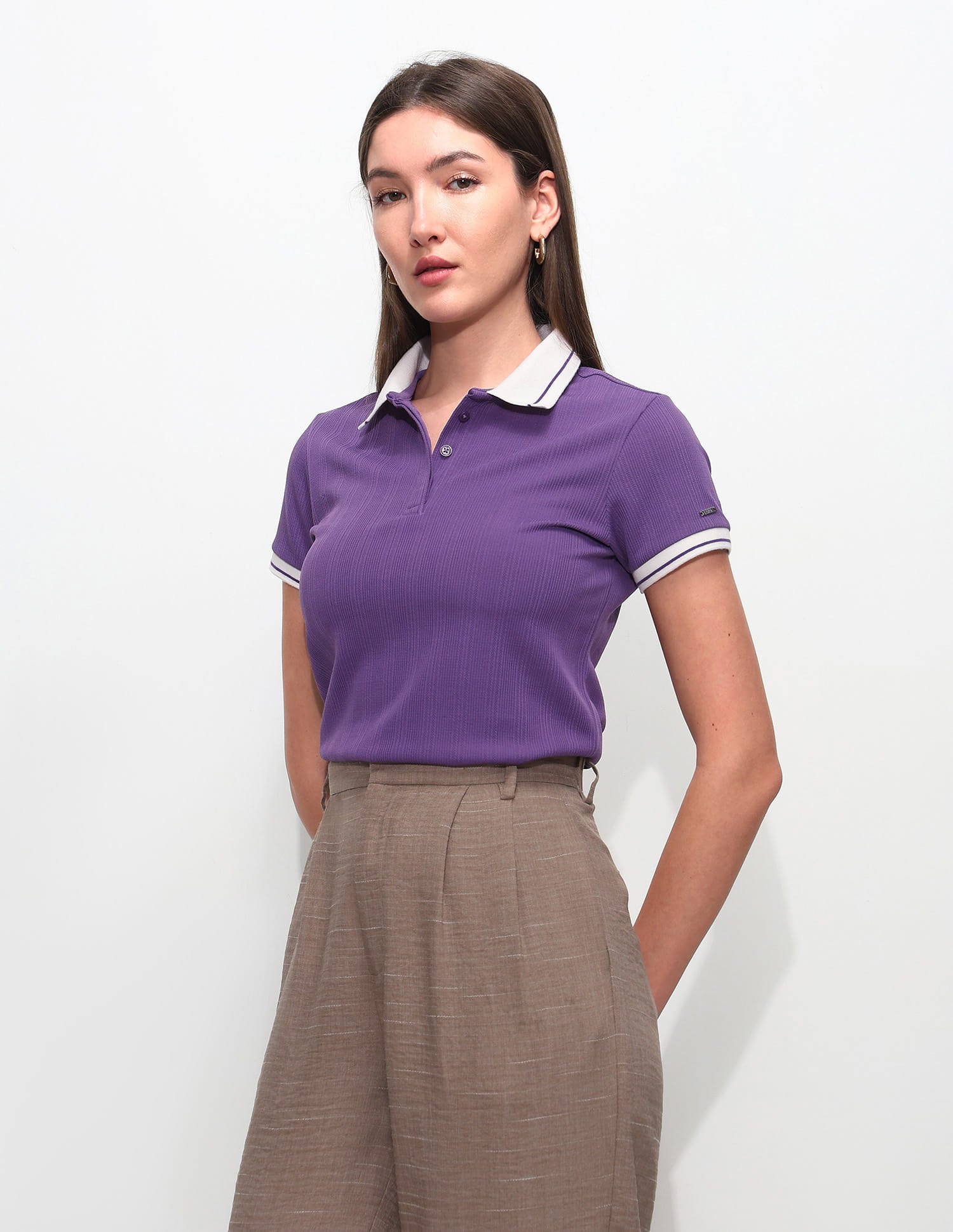 Regular Fit Striped Polo Shirt Purple - U.S. Polo Assn. India | Large