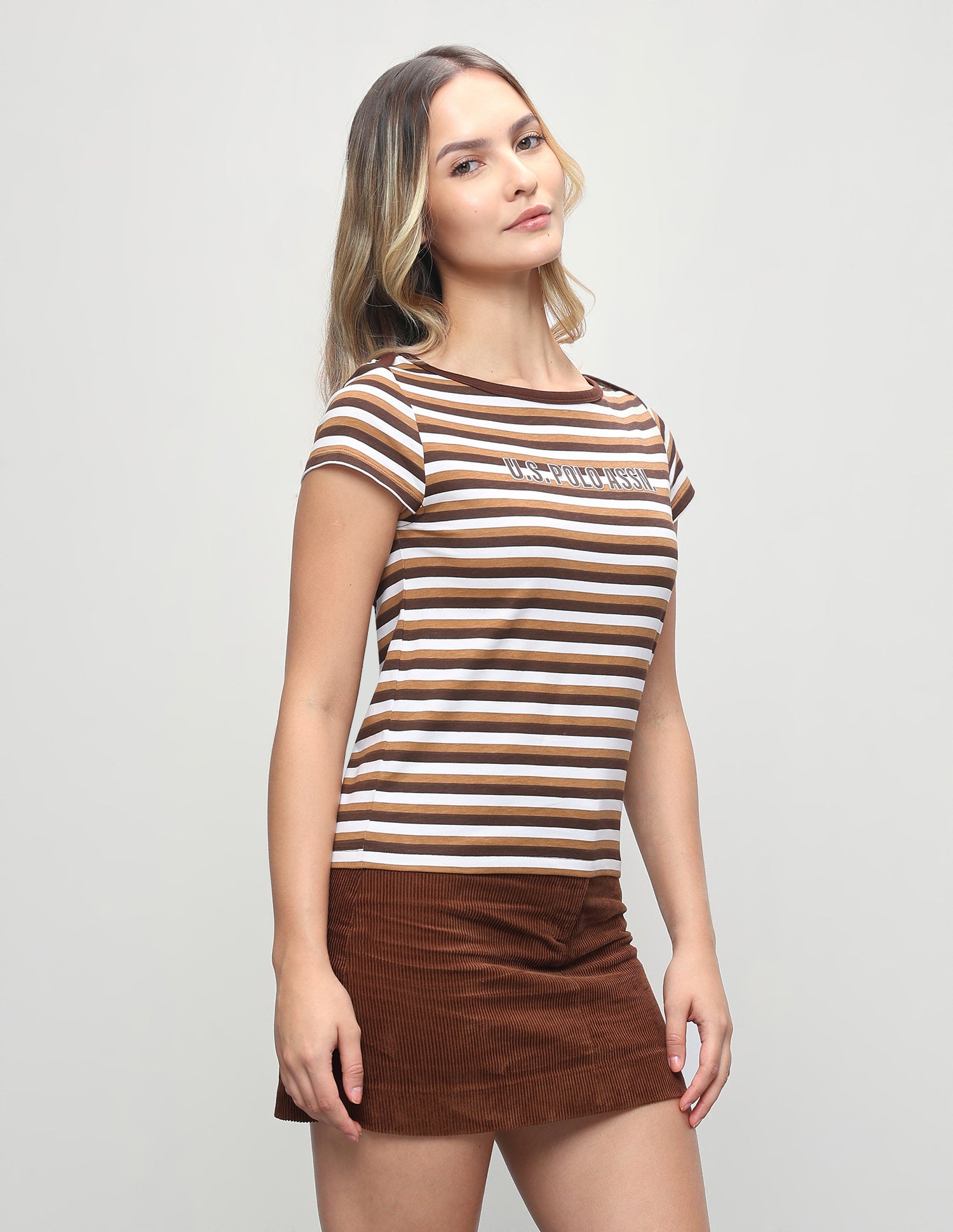 Horizontal Striped Regular Fit T-Shirt Brown - U.S. Polo Assn. India | Large