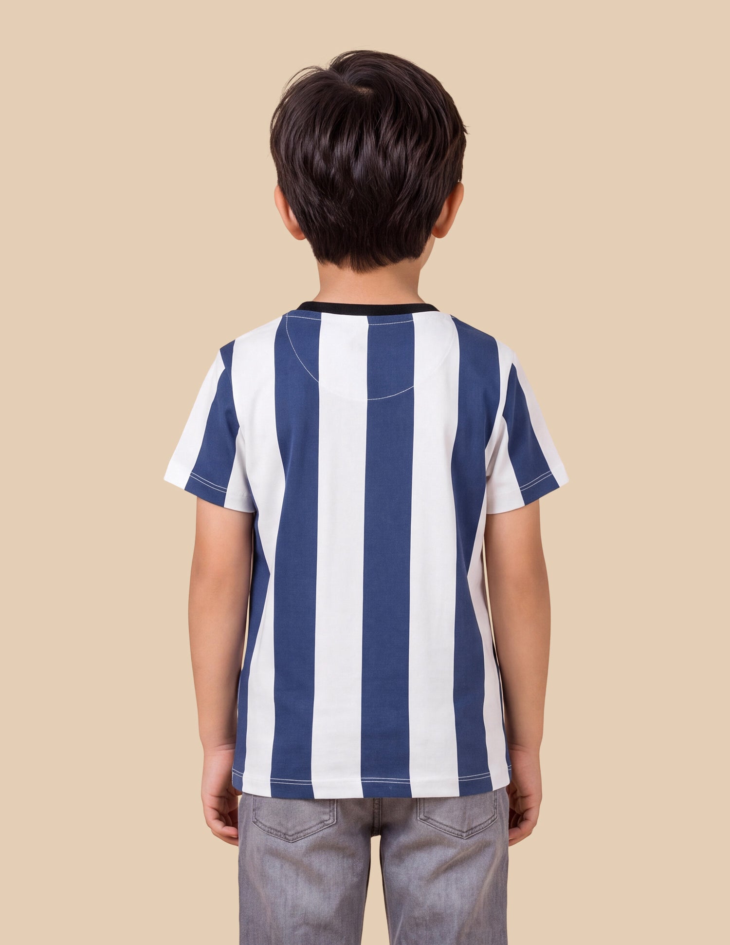 Vertical Striped Regular Fit T-Shirt Blue - U.S. Polo Assn. India | Large