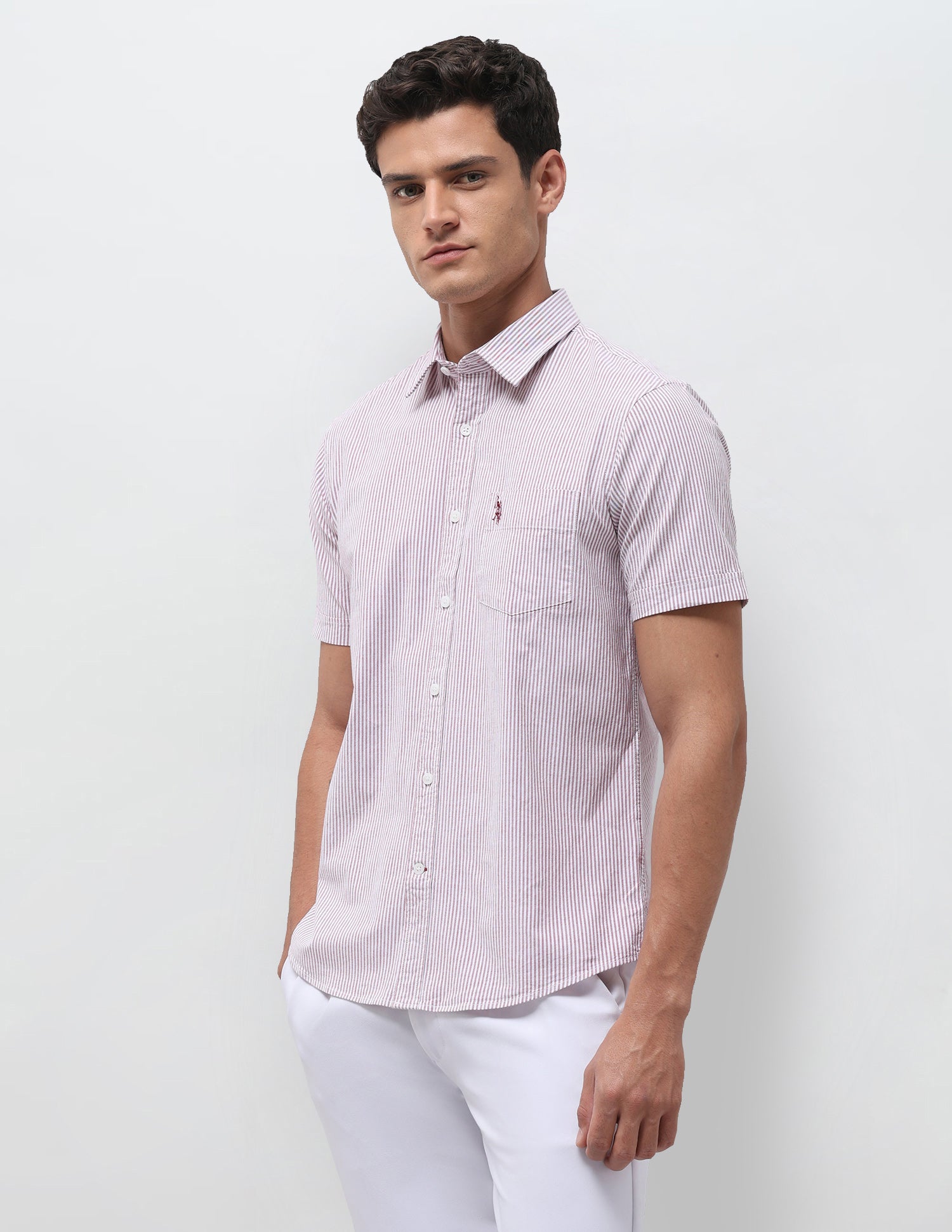 Vertical Striped Oxford Shirt Pink - U.S. Polo Assn. India | Large