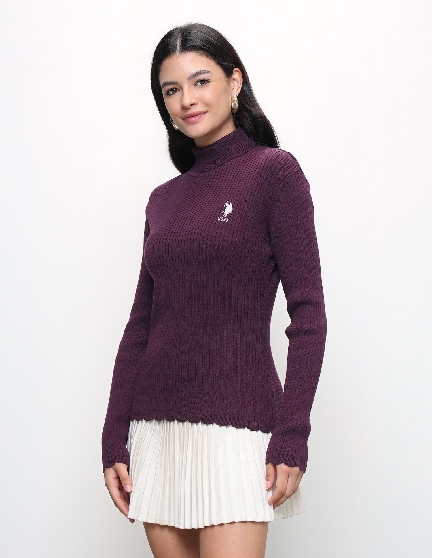 Vertical Striped Patterned Sweater Wine - U.S. Polo Assn. India | Large