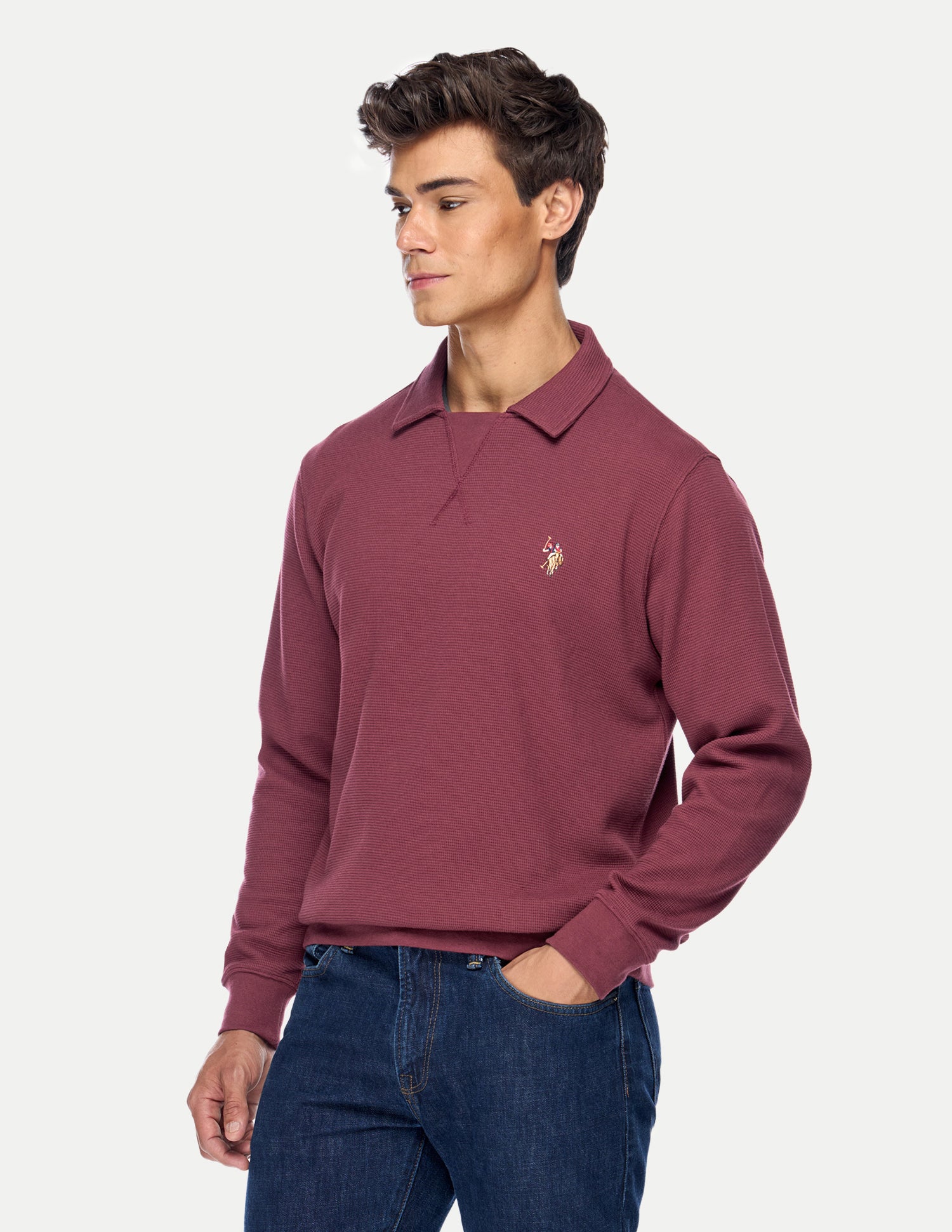Solid Relaxed Fit Sweatshirt Maroon - U.S. Polo Assn. India | Large