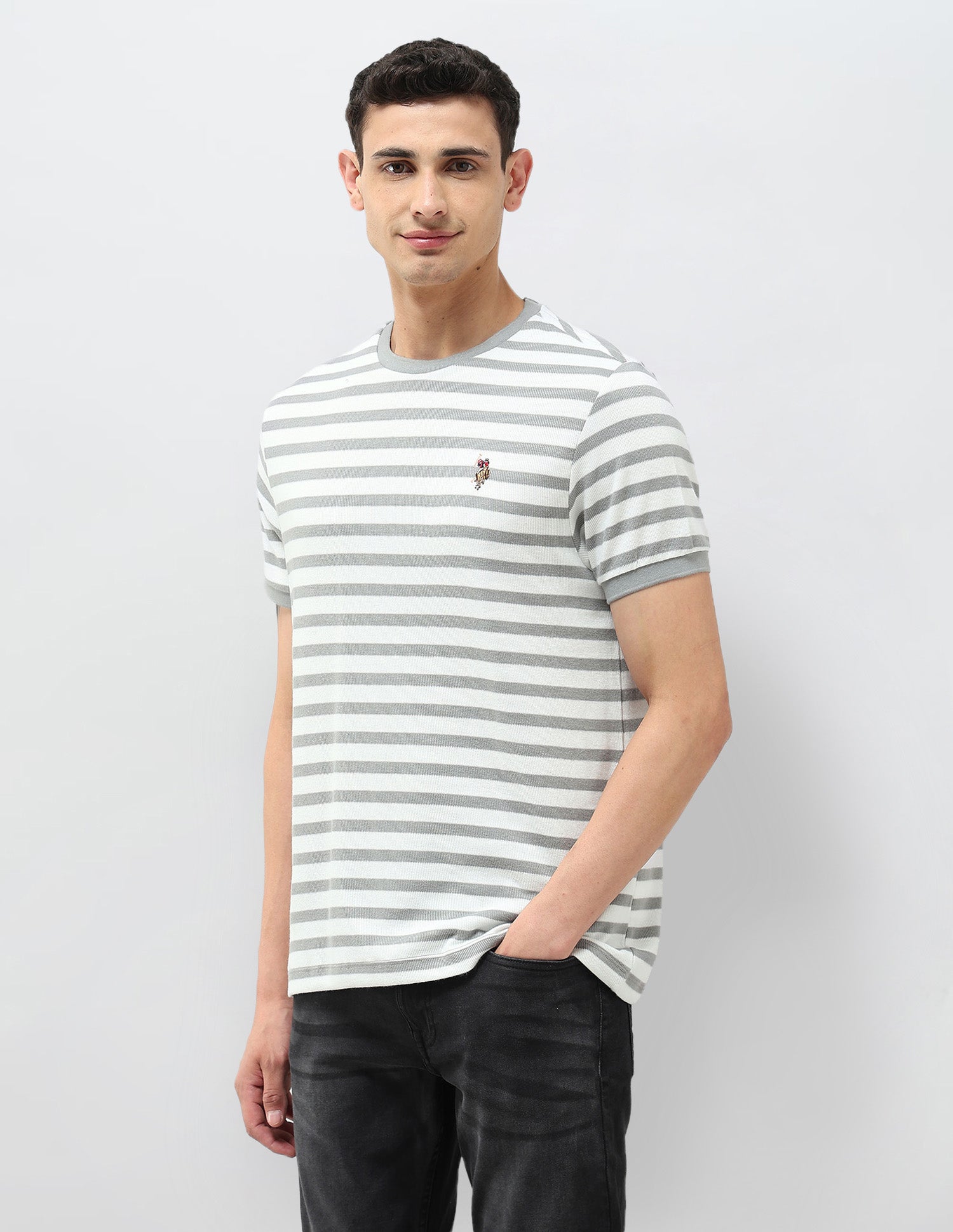 Horizontal Striped Regular Fit T-Shirt Grey - U.S. POLO ASSN. | Large