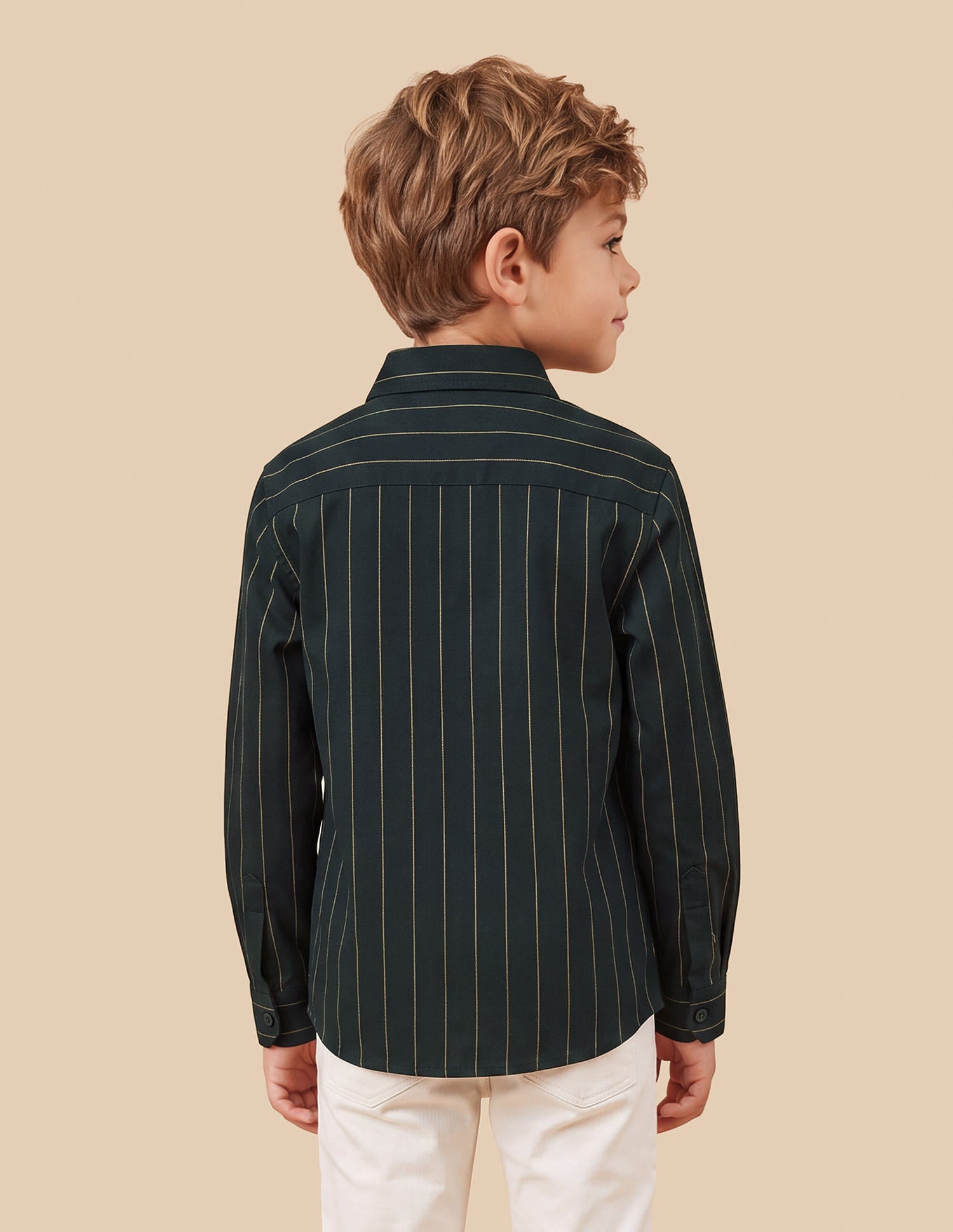Vertical Striped Regular Fit Shirt Green - U.S. Polo Assn. India | Large