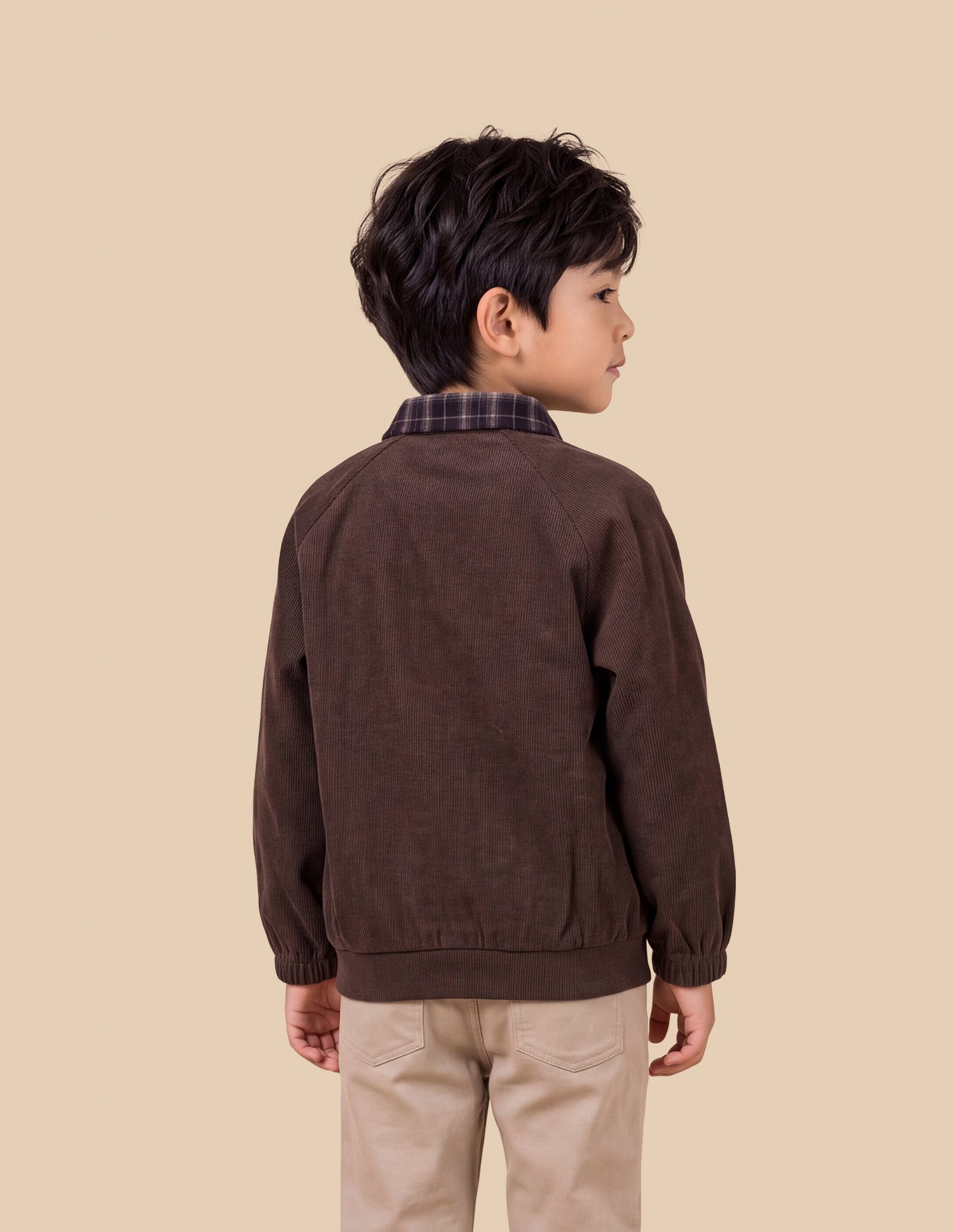 Solid Regular Fit Sweatshirt Brown - U.S. Polo Assn. India | Large