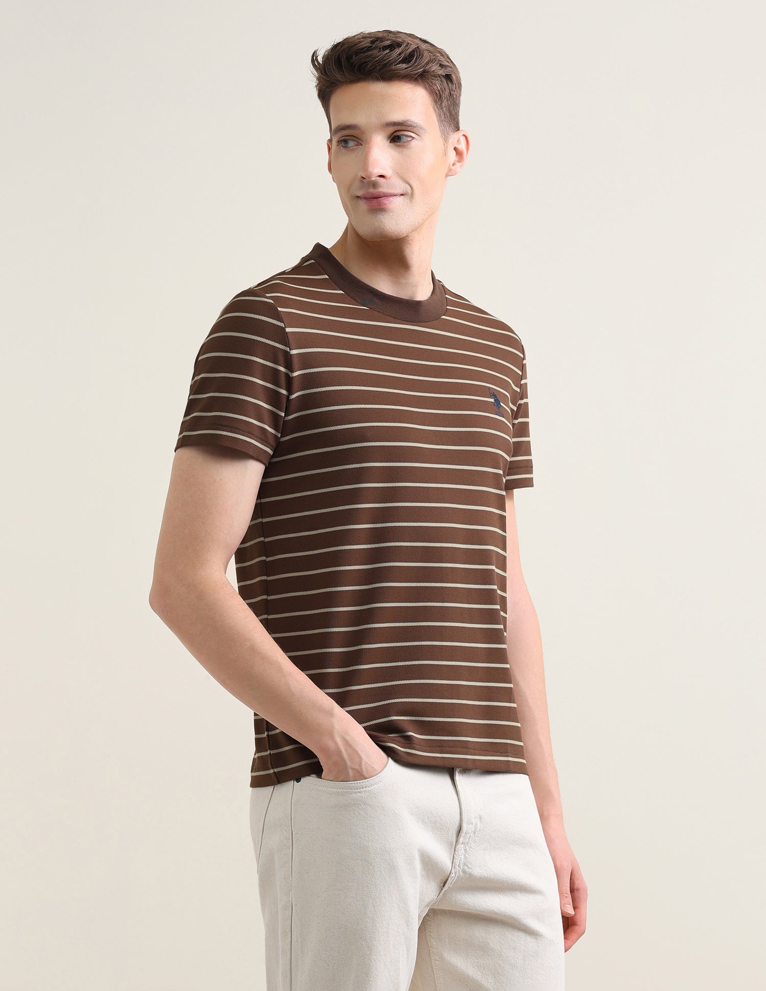Horizontal Striped Slim Fit T-Shirt Brown - U.S. Polo Assn. India | Large