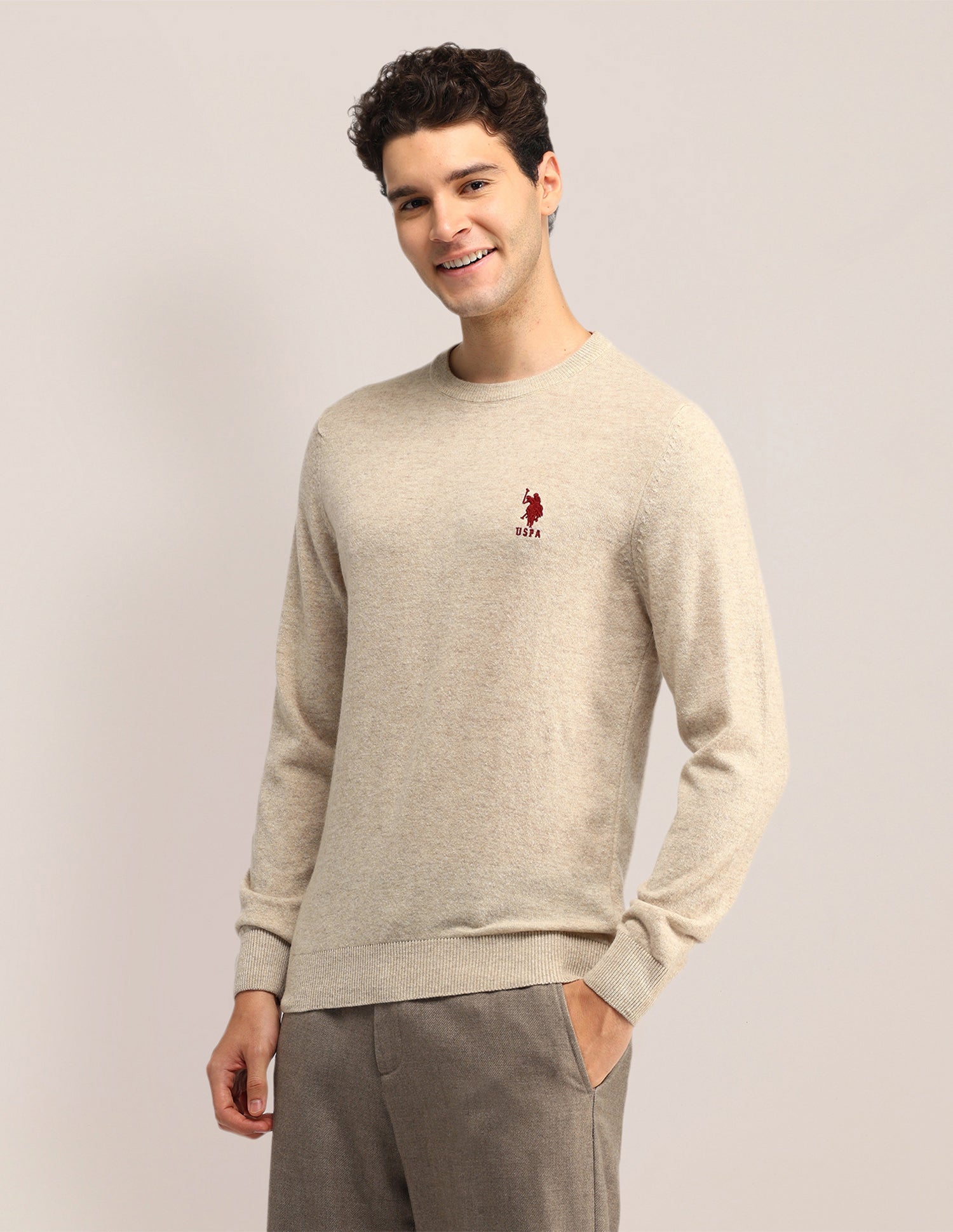 Textured Regular Fit Sweater Beige - U.S. Polo Assn. India | Large