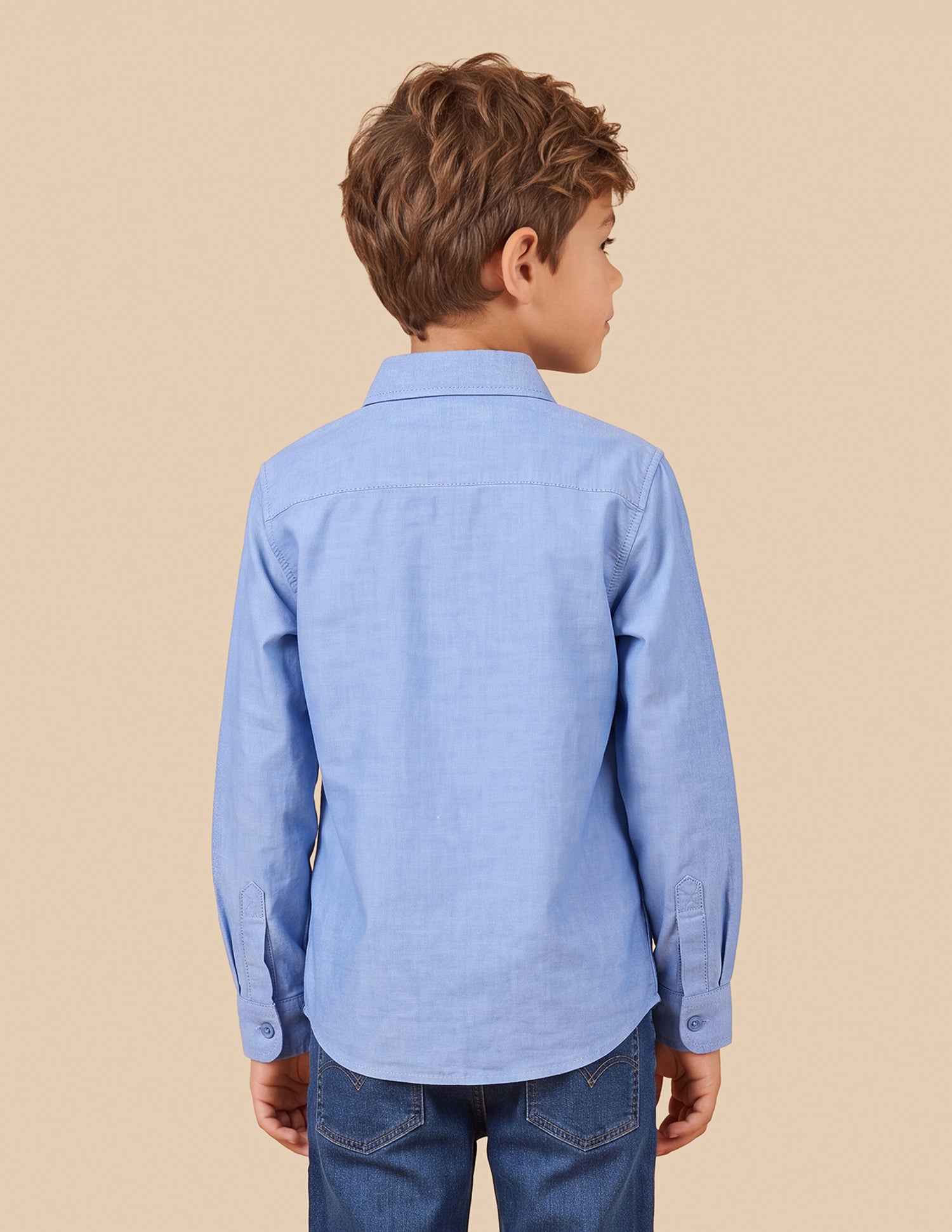 Oxford Regular Fit Shirt Light Blue - U.S. Polo Assn. India | Large