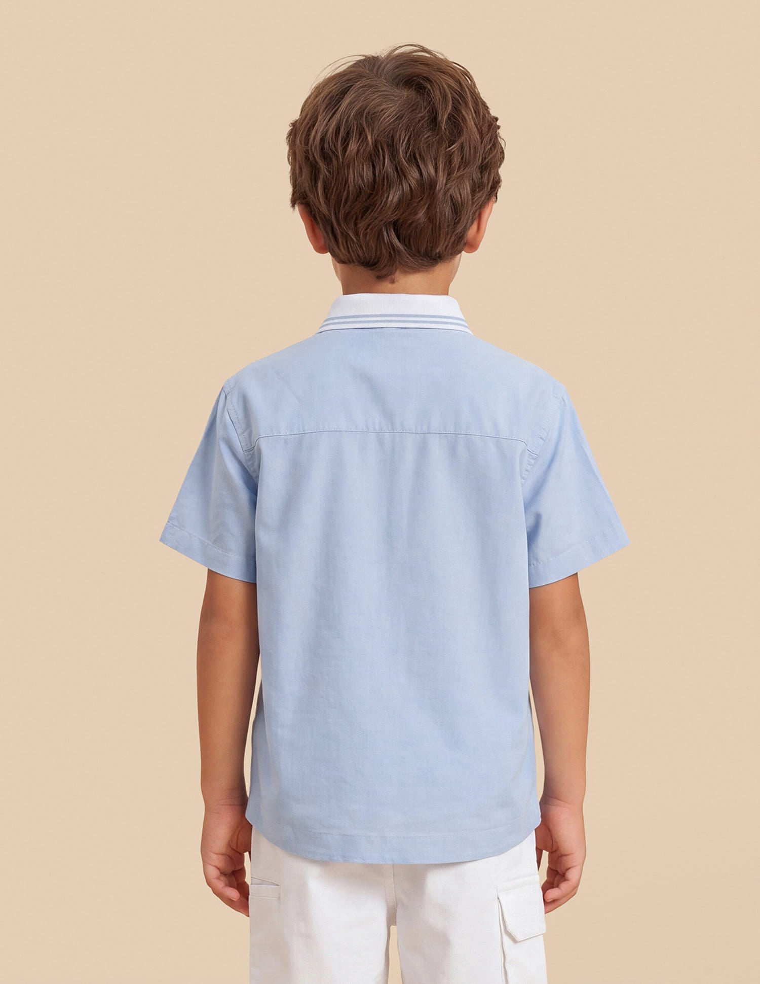Graphic Printed Regular Fit Shirt Light Blue - U.S. Polo Assn. India | Large
